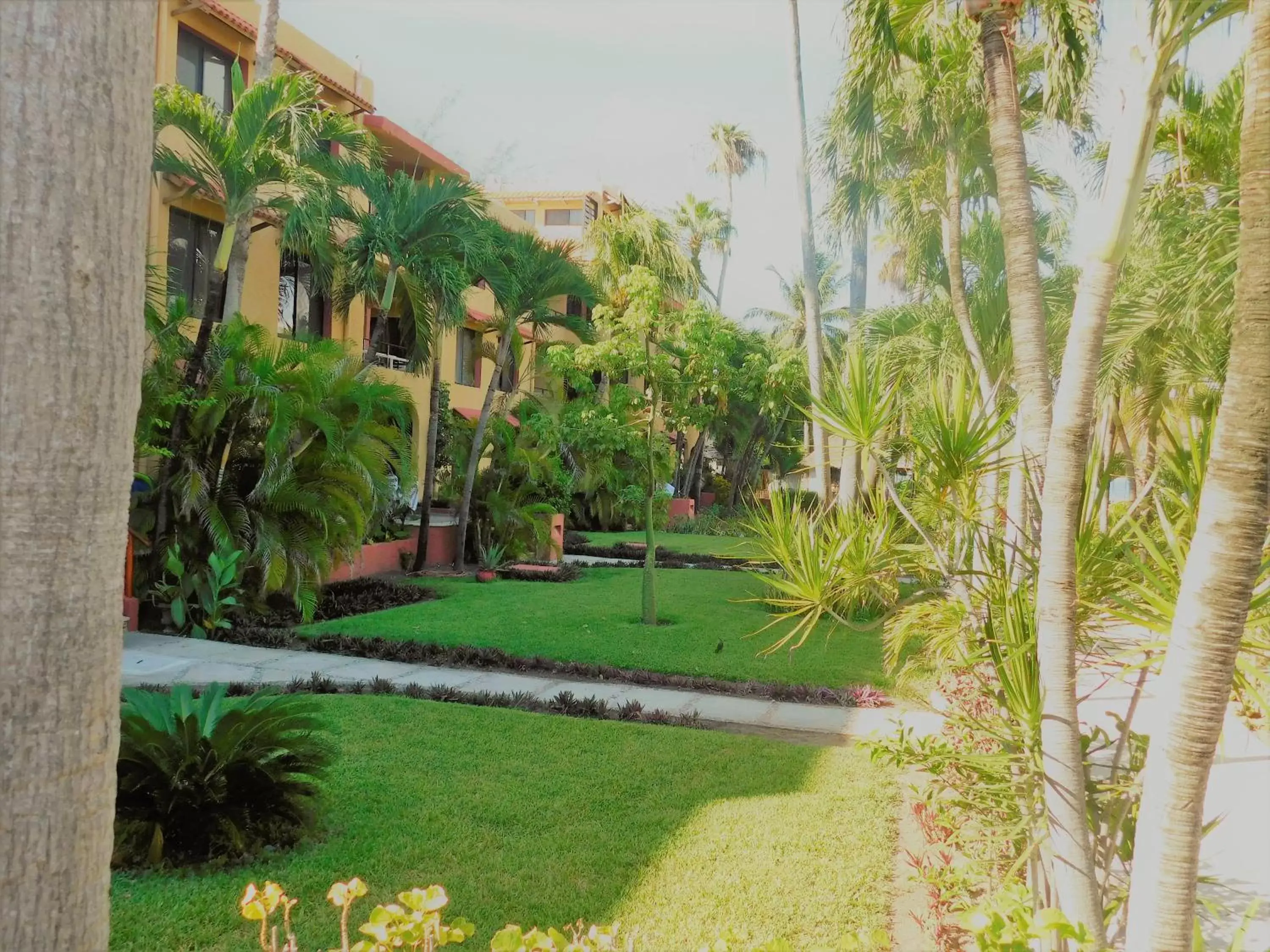 Garden in Nautibeach Beach Front Condos in North Beach