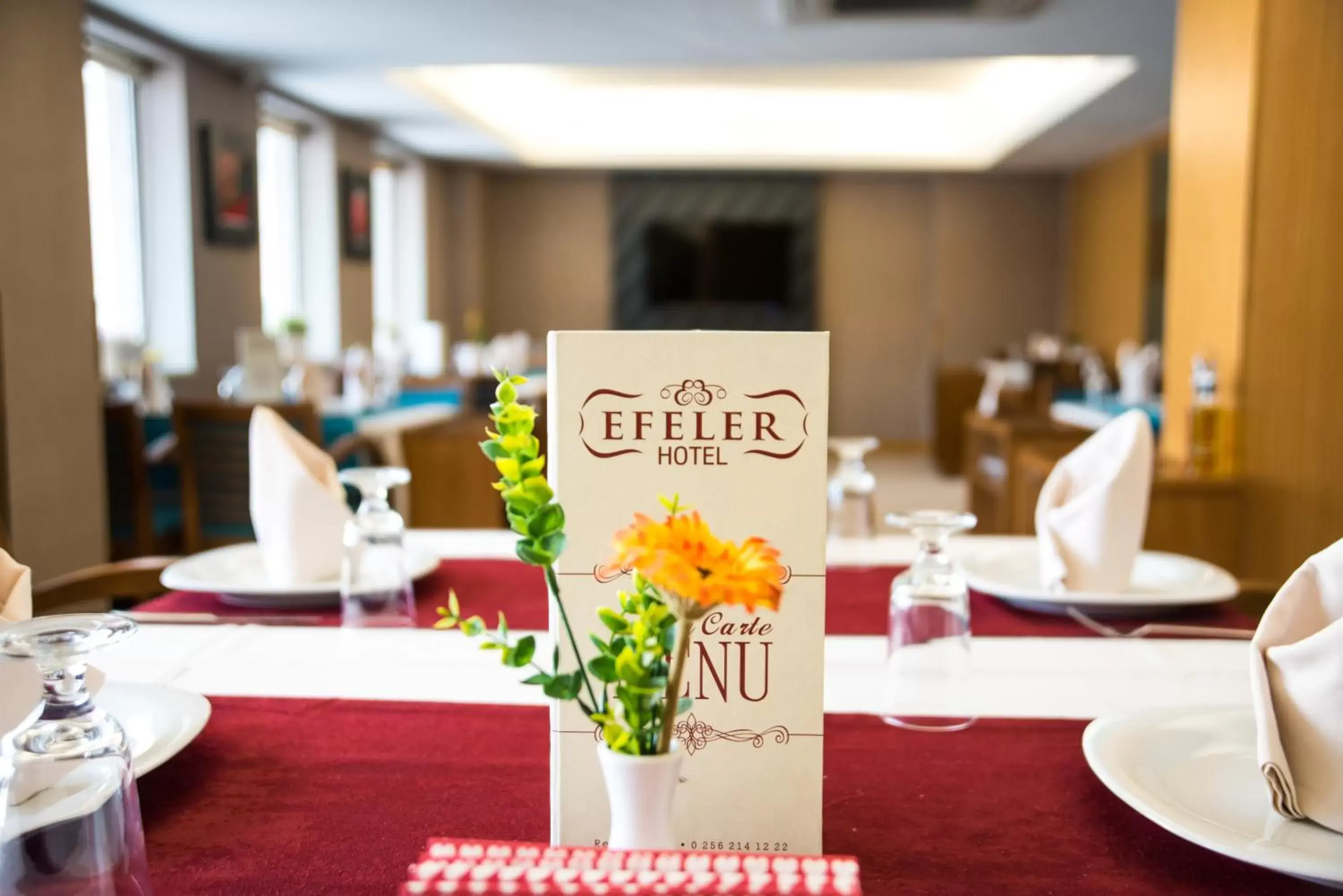 Meals, Restaurant/Places to Eat in Efeler Hotel
