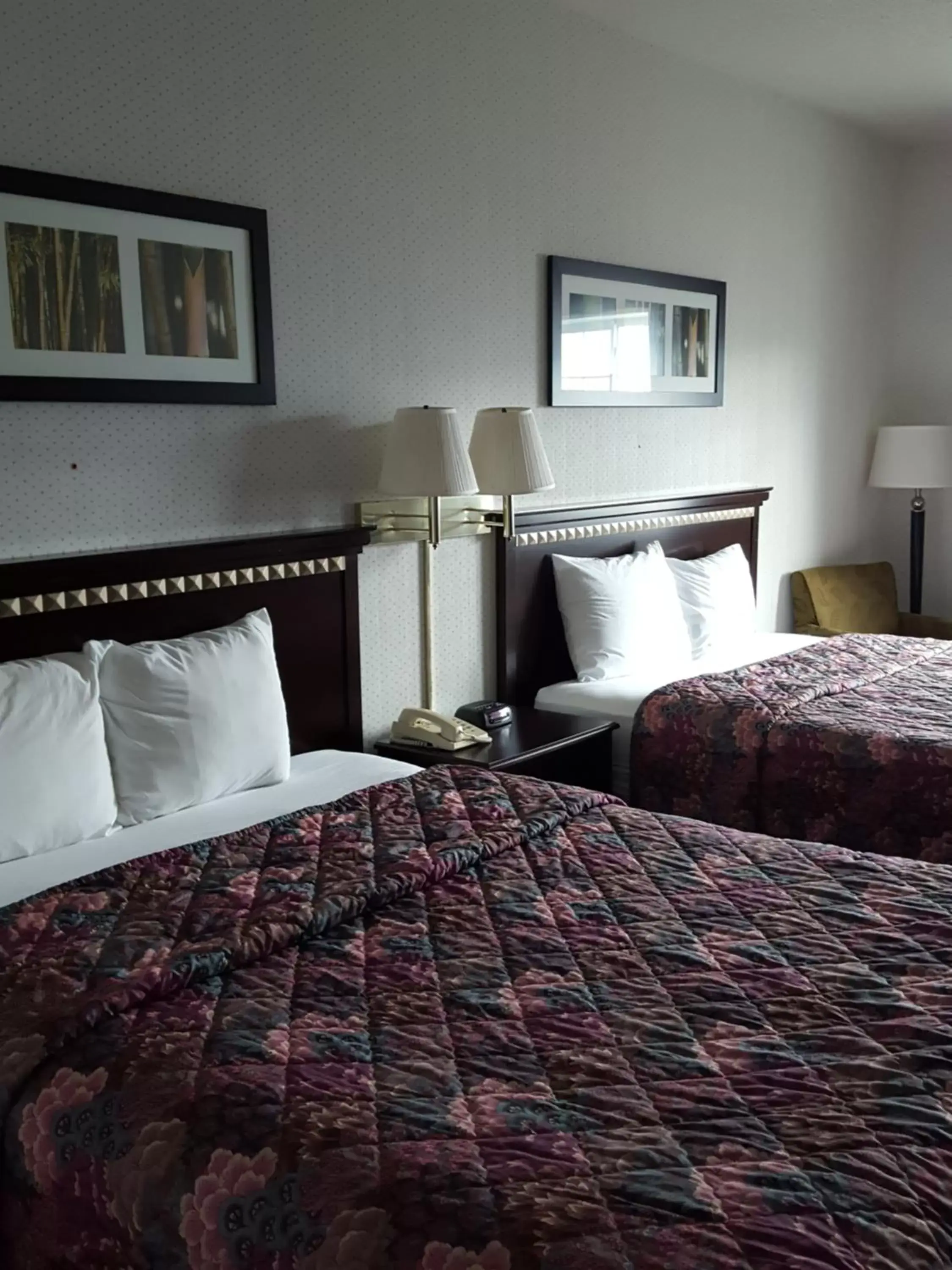 Queen Room with Two Queen Beds - Non-Smoking in Rodeway Inn Urbana Champaign University Area