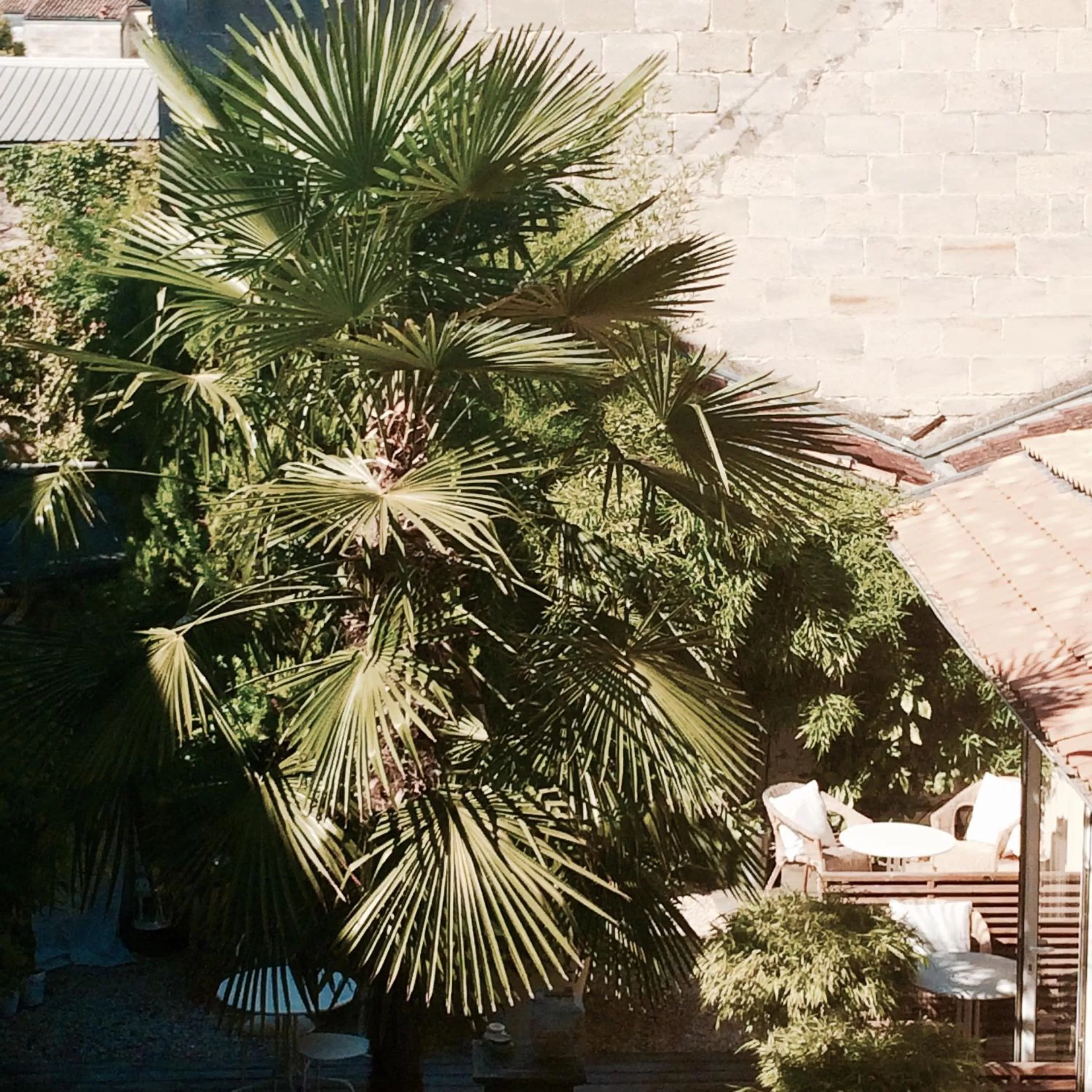 Garden view in Maison du Lierre Bordeaux Centre ville