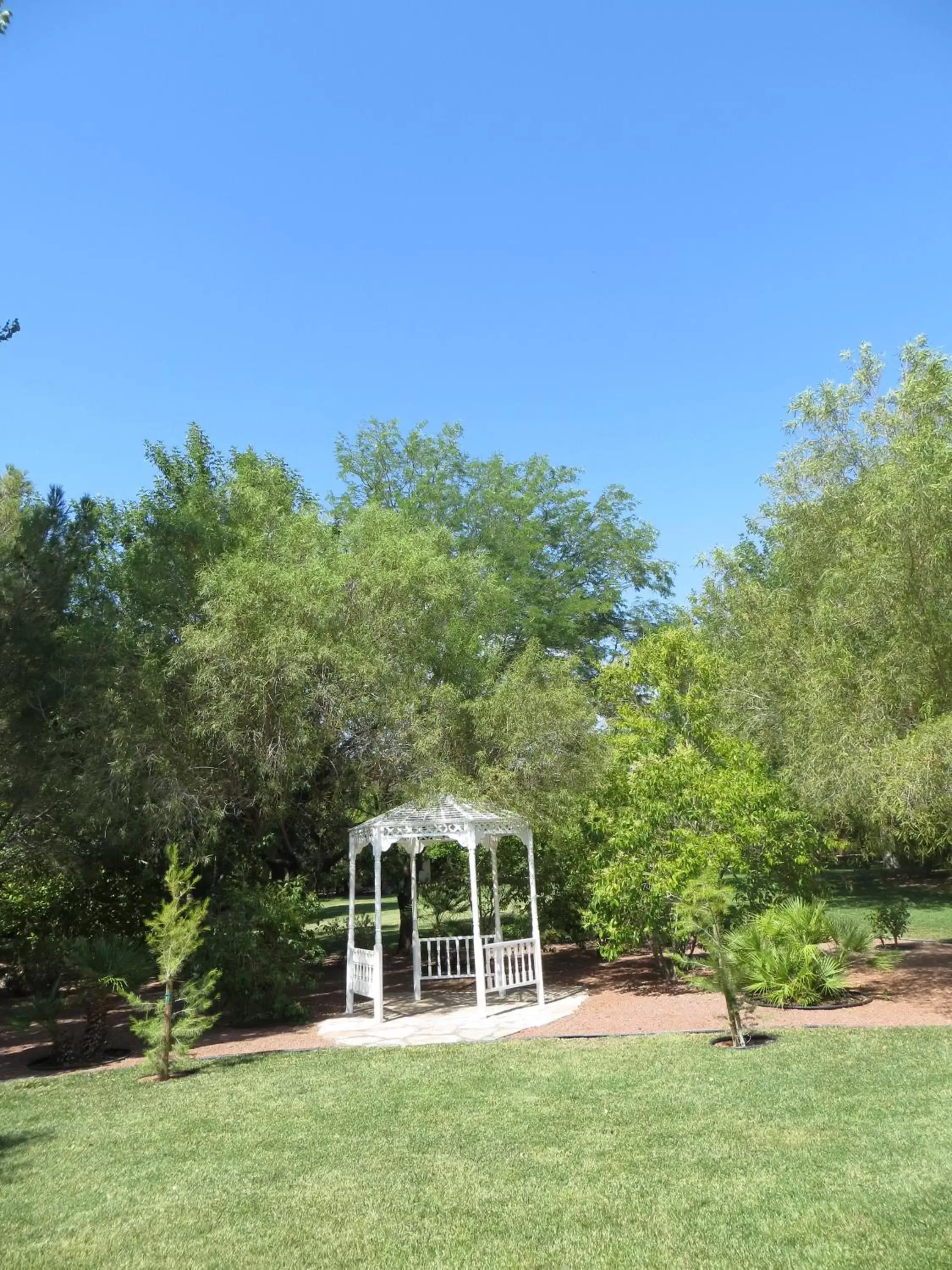 Garden in Saddle West Casino Hotel