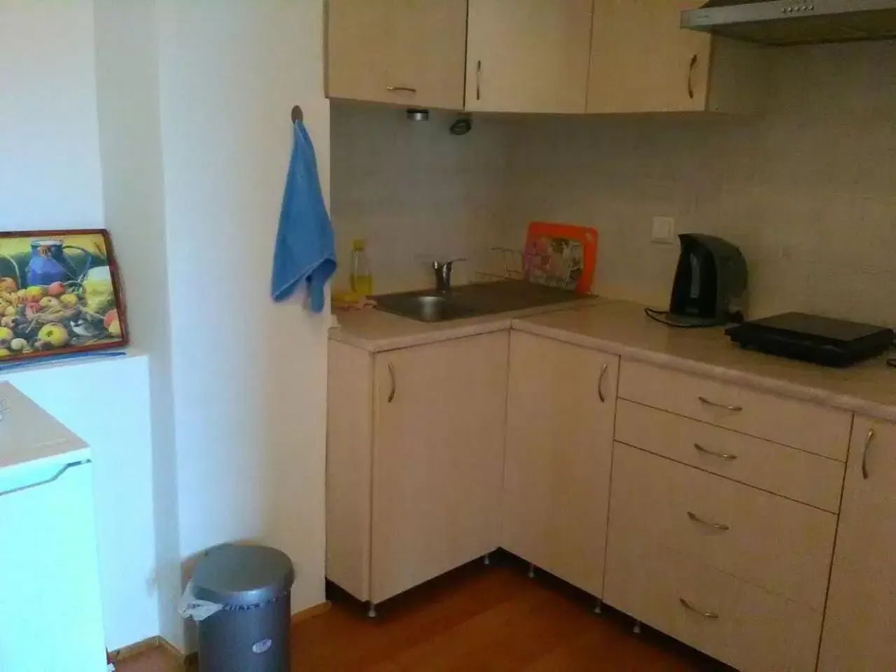 Kitchen/Kitchenette in Apartments Vladimir