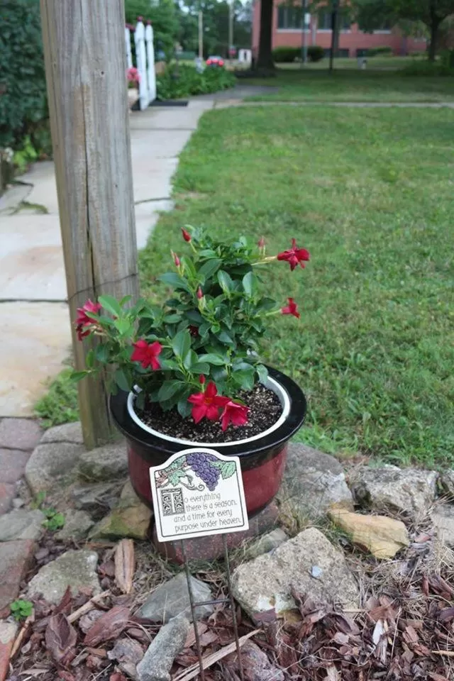 Patio/Outdoor Area in Rose Heart Inn