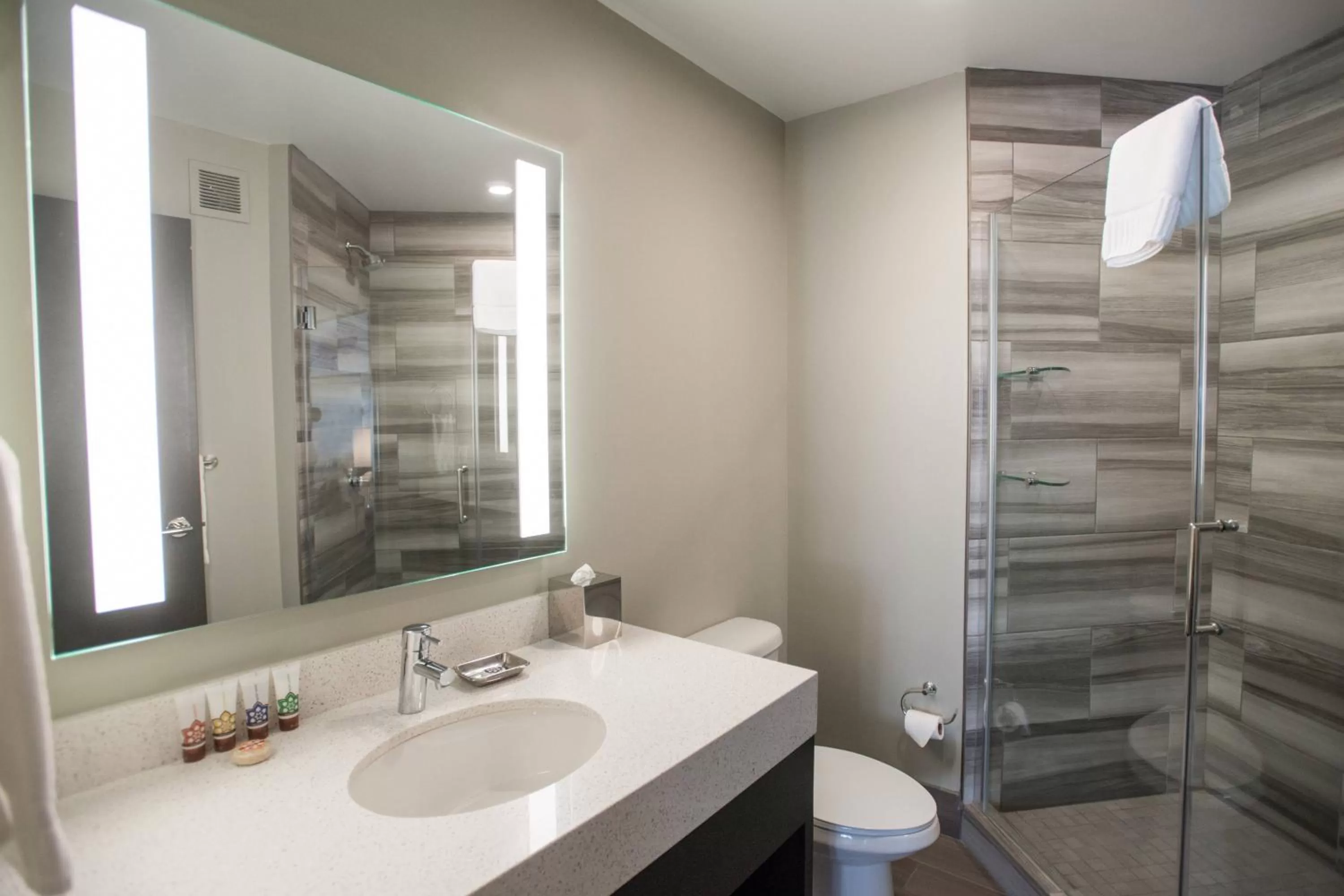 Bathroom in Magnolia Hotel Denver, a Tribute Portfolio Hotel