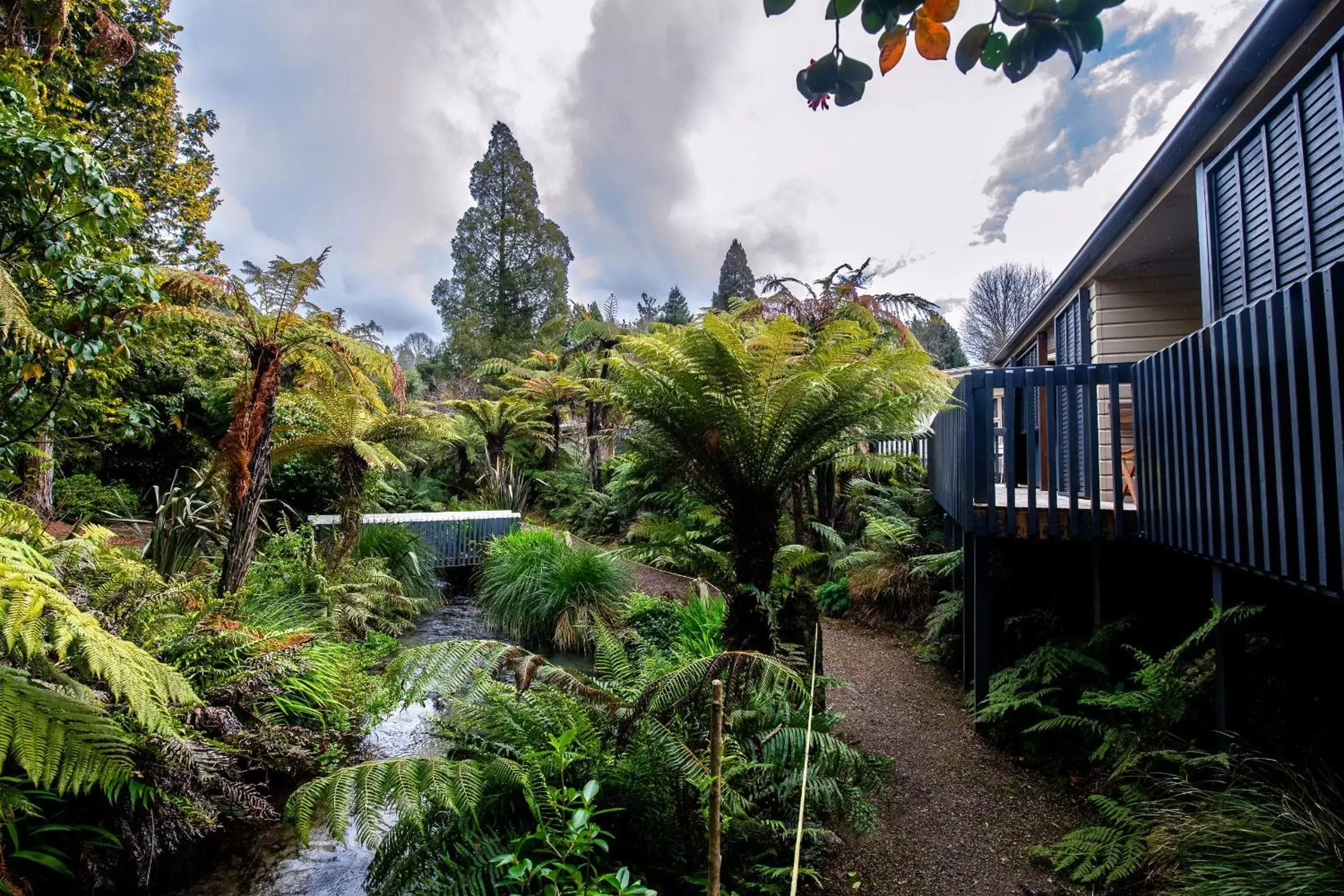 Natural landscape, Property Building in Best Western Braeside Rotorua