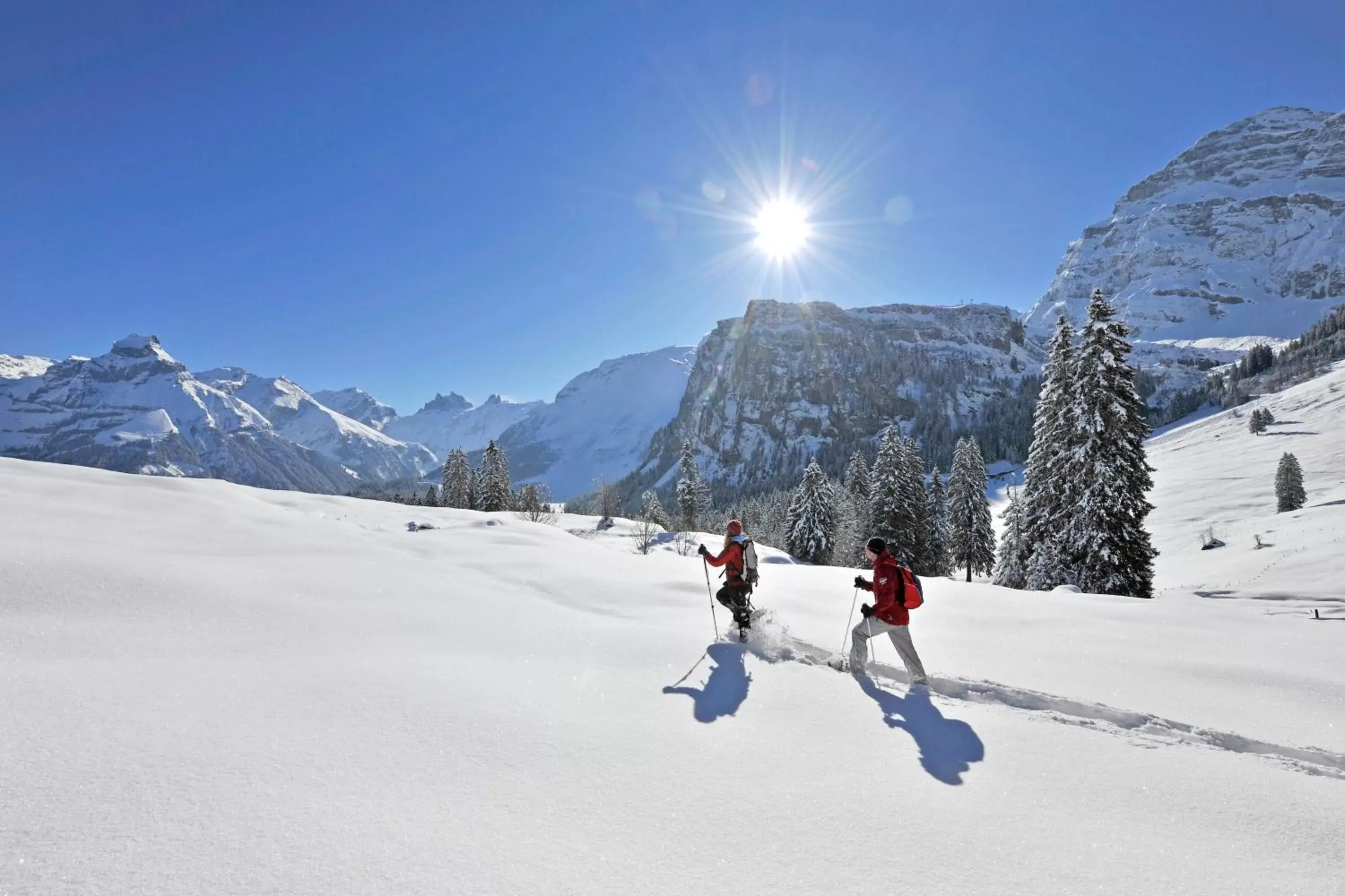 Activities, Winter in Hotel Terrace