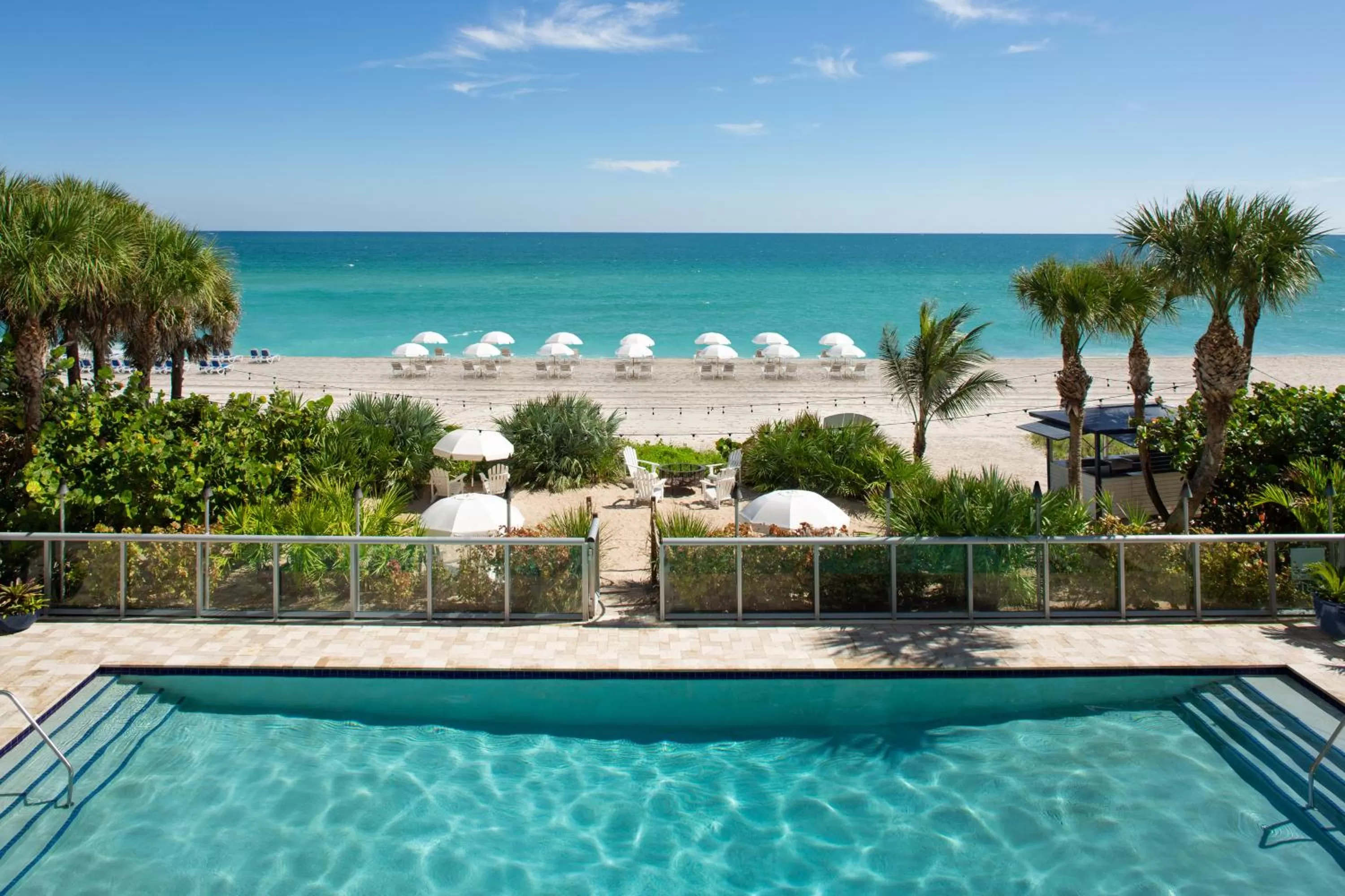 Pool view in Sole Miami, A Noble House Resort
