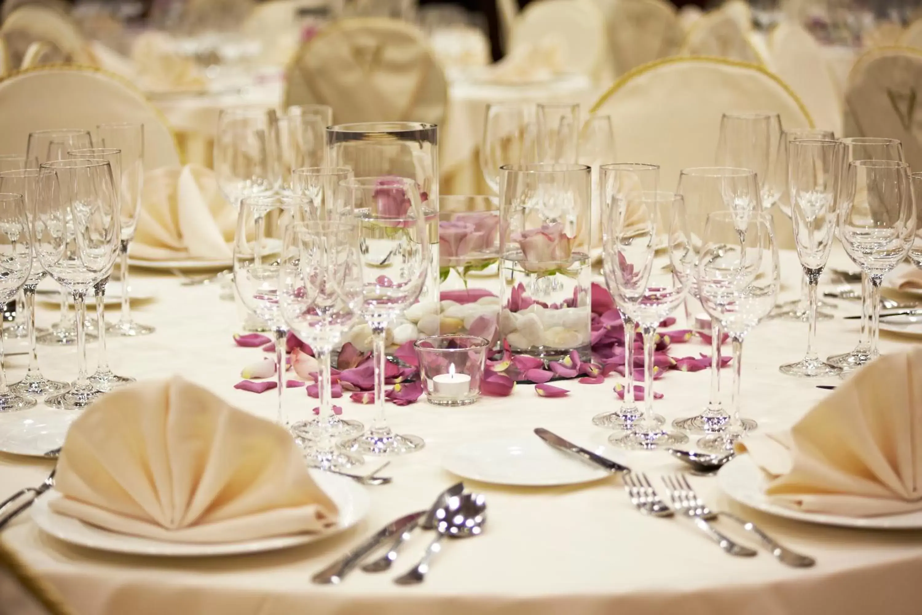 Banquet/Function facilities, Restaurant/Places to Eat in GPRO Valparaiso Palace & Spa