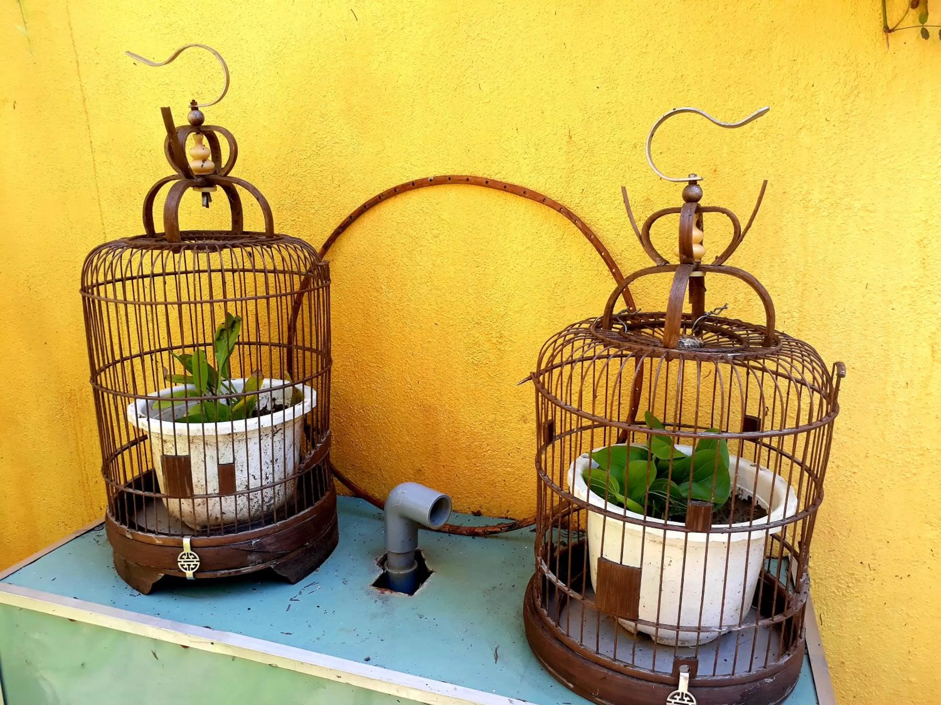 Garden in Pink Tulip Hoi An
