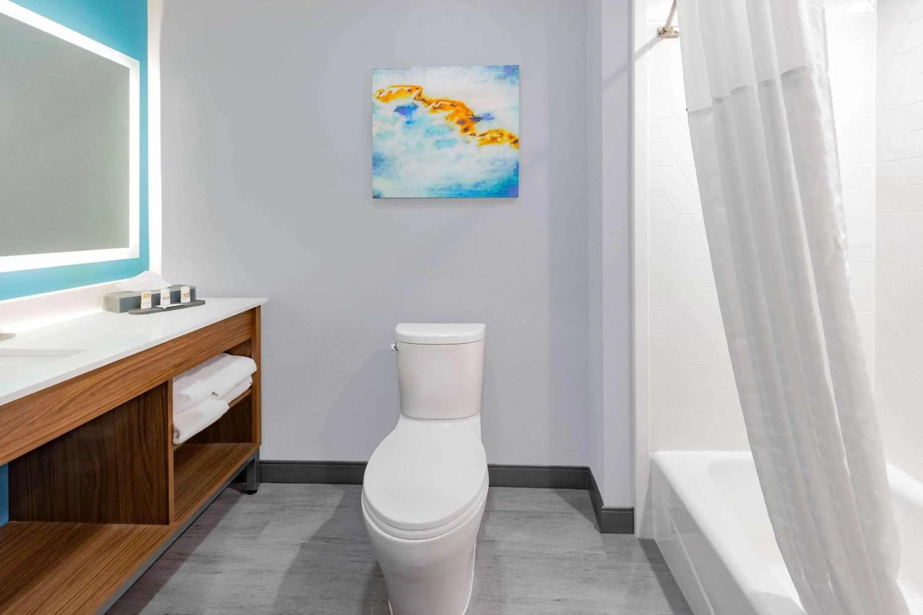 Bathroom in La Quinta Inn & Suites by Wyndham Fort Stockton Northeast