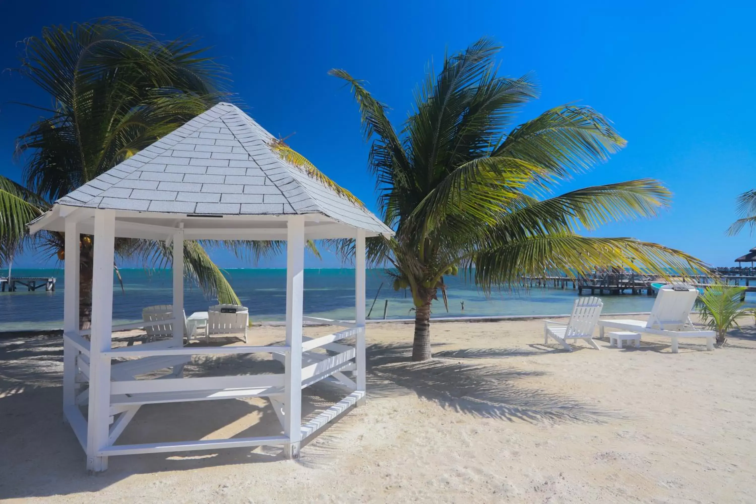 Beach in Treetops Hotel