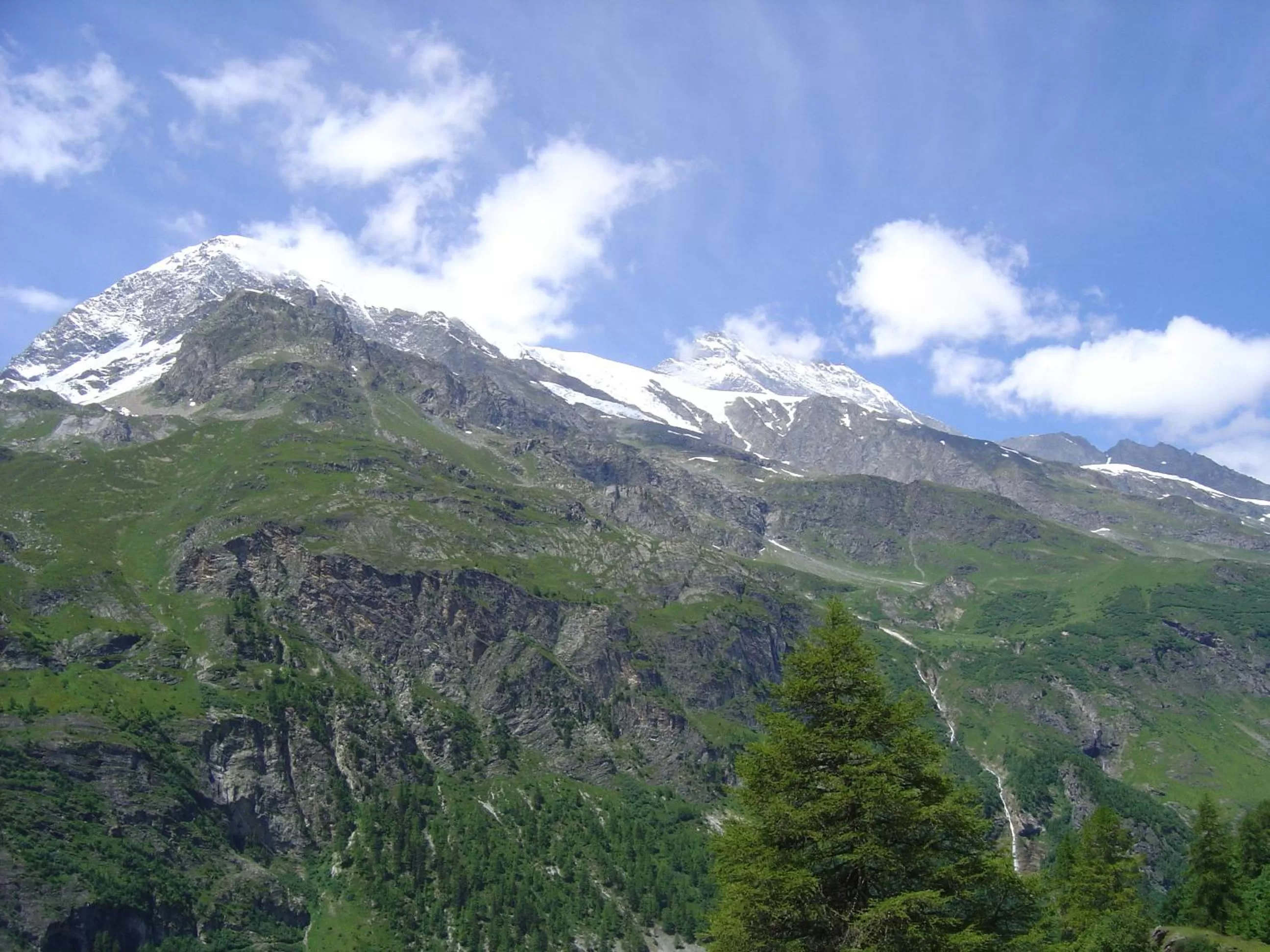 Area and facilities in Hotel Le Genepy