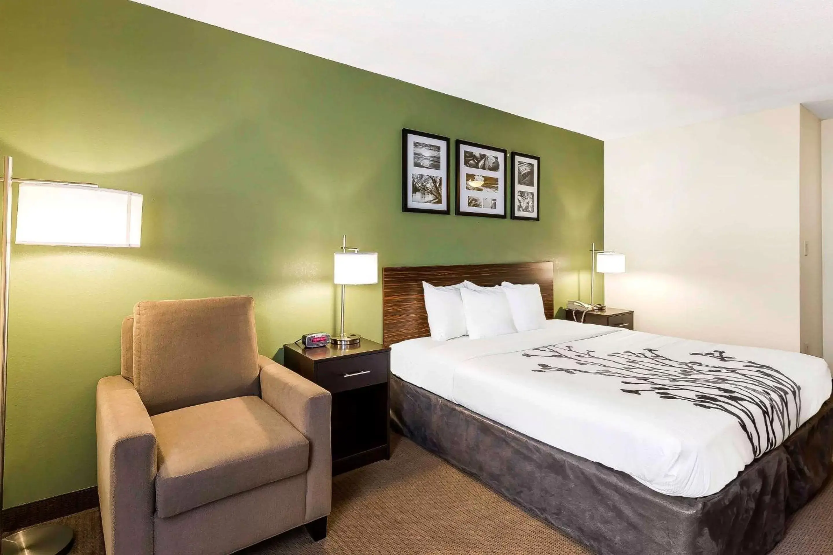 Photo of the whole room, Bed in Sleep Inn Columbia Gateway Photo of the whole room, Bed in Sleep Inn Columbia Gateway