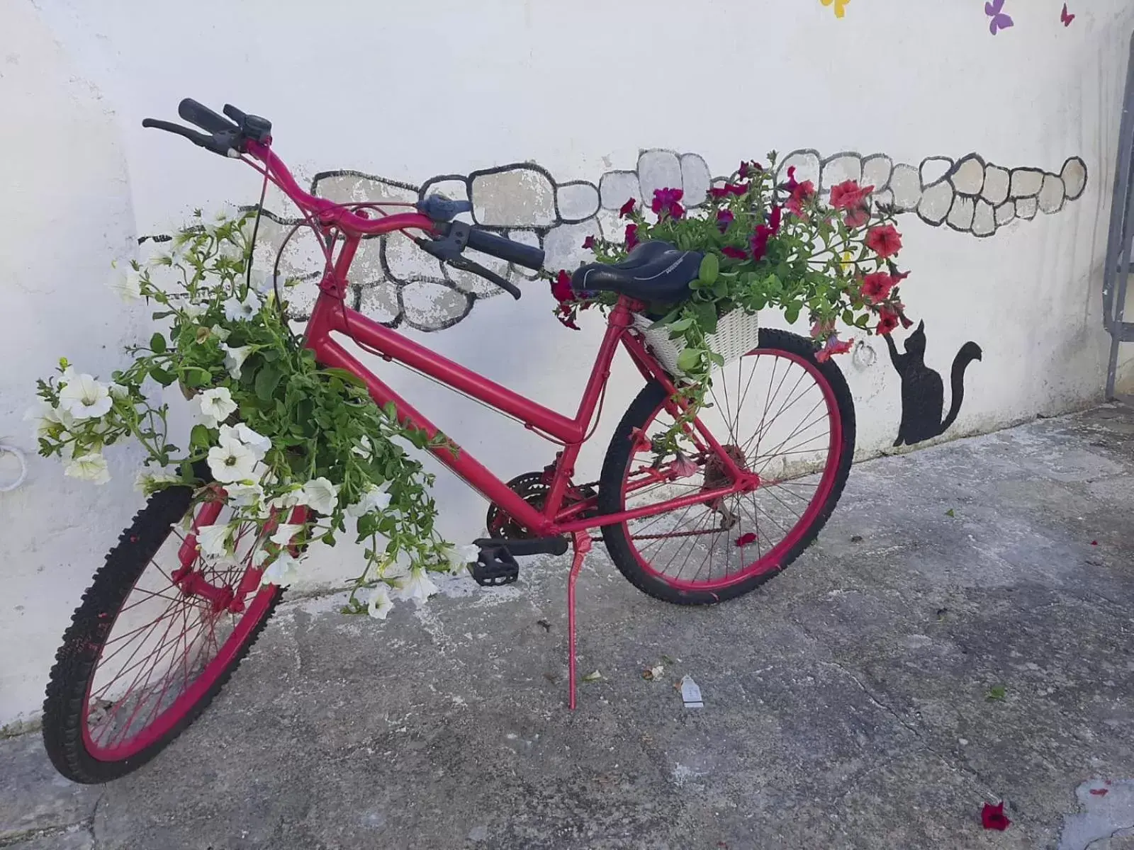 Biking in Tronchetto bianco