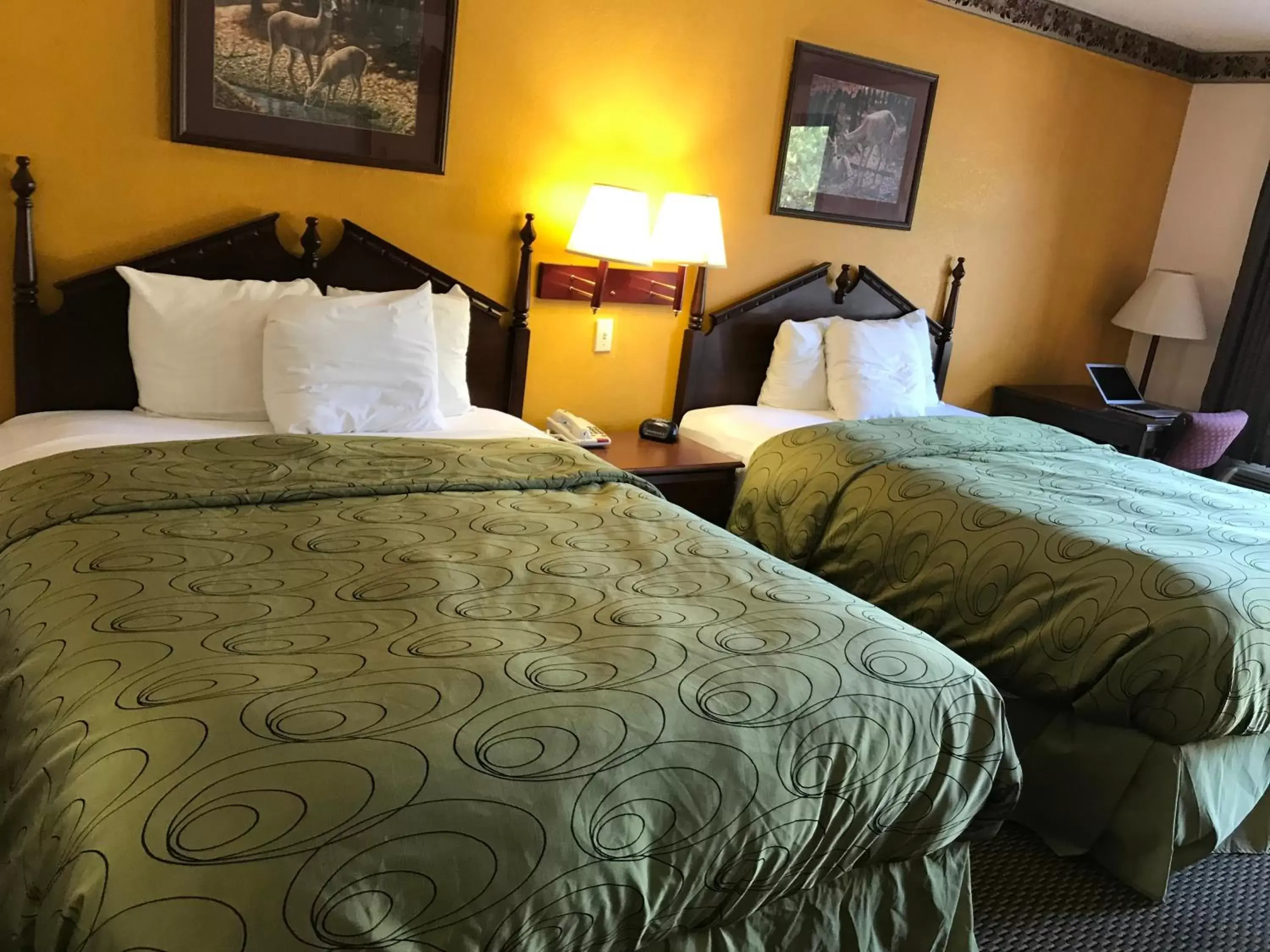 Bed in Clairmont Inn & Suites - Warren