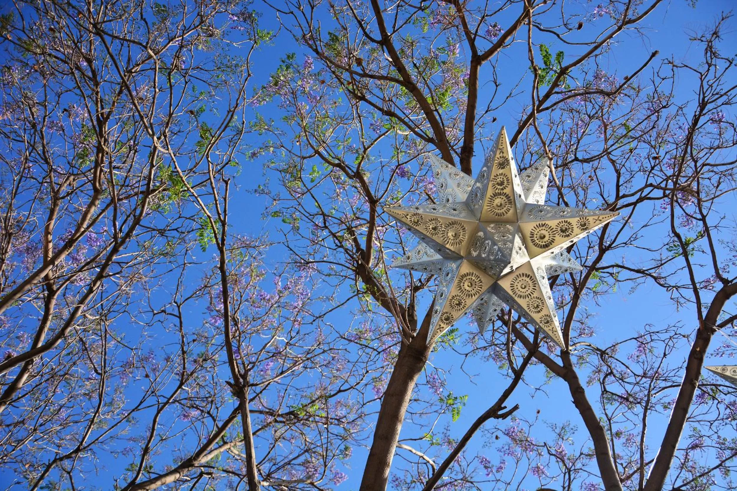 Decorative detail in Casa Laní Luxury B&B