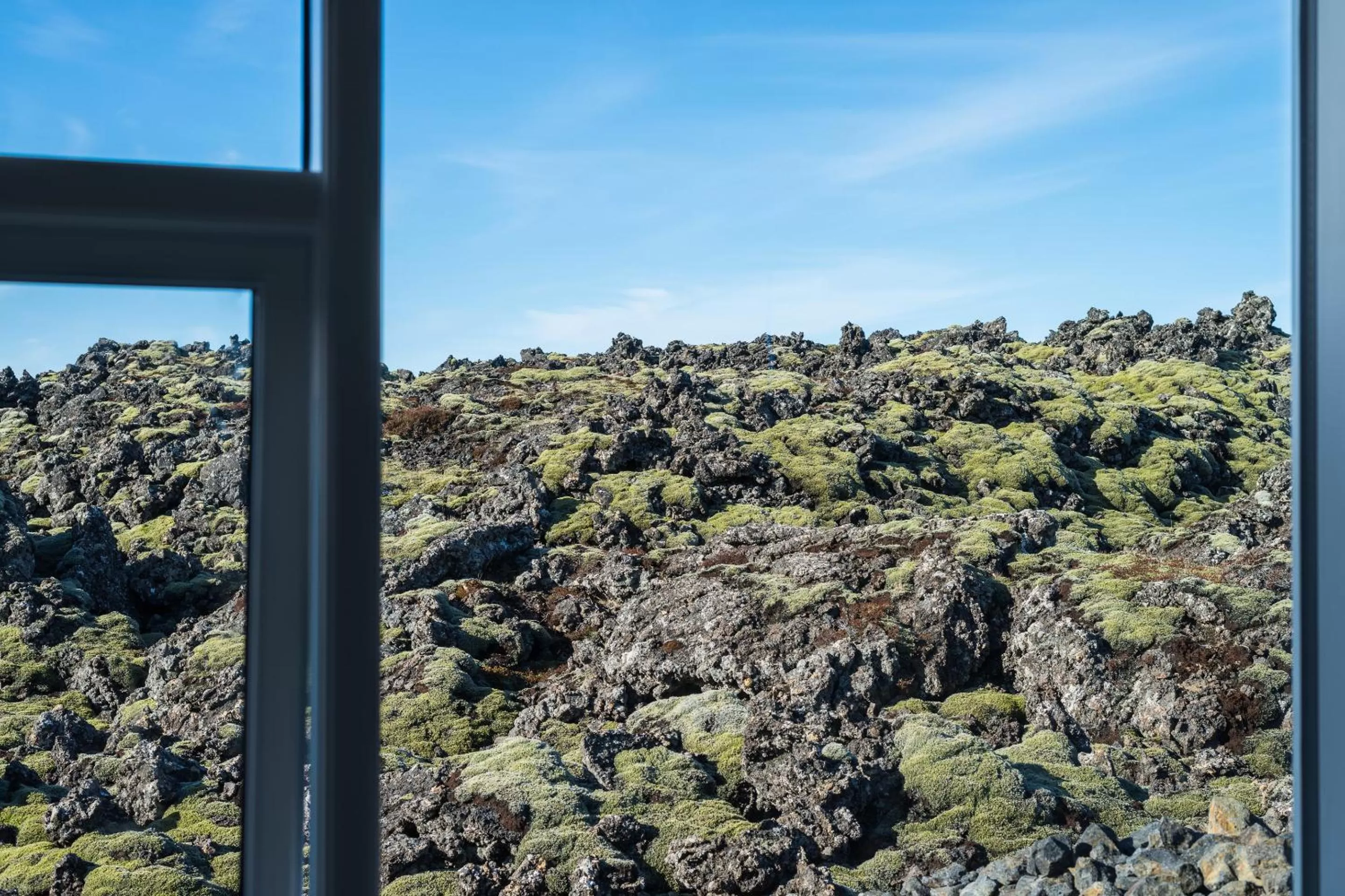 Natural landscape in Northern Light Inn