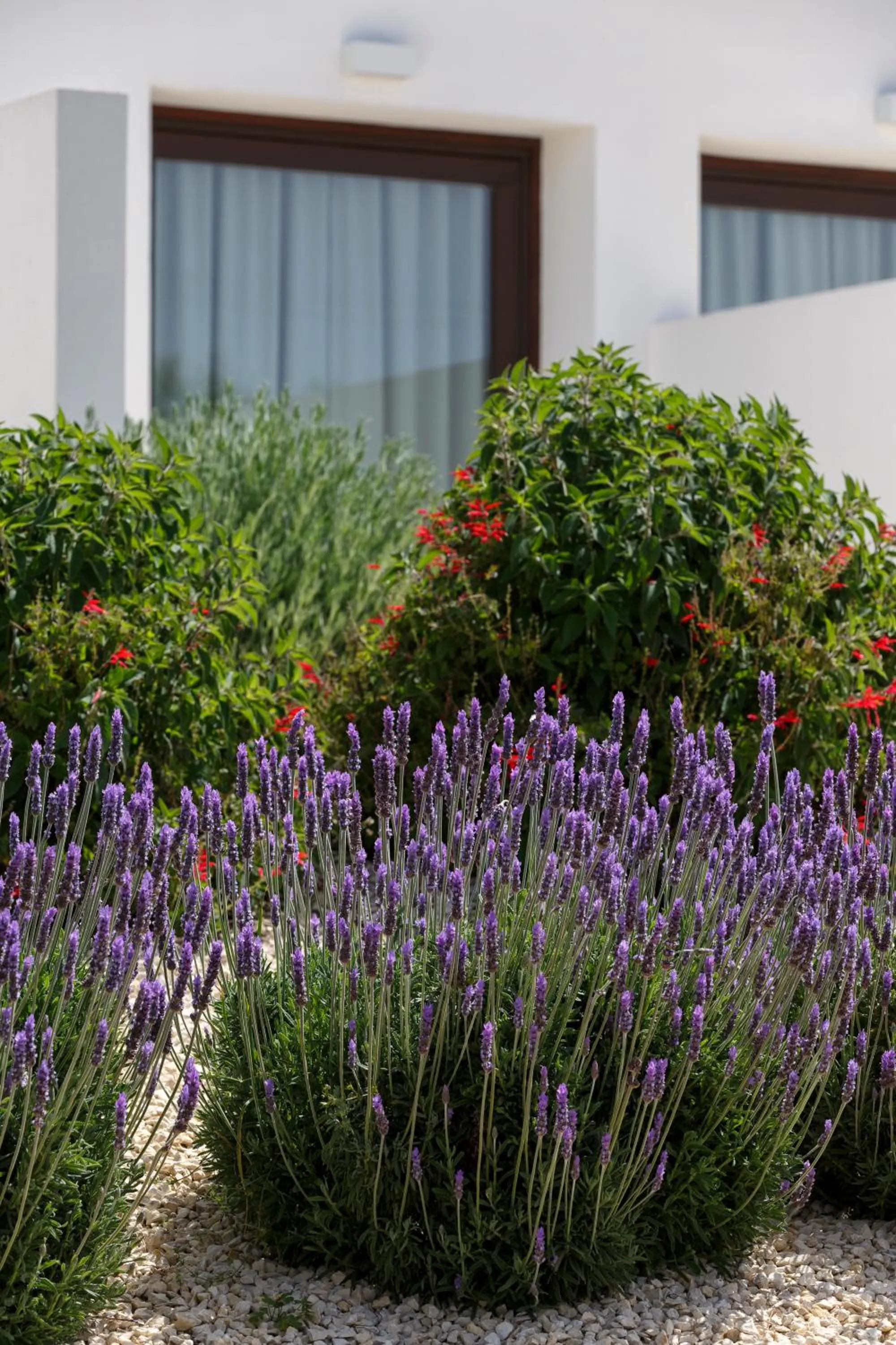Balcony/Terrace in Southeast Hotel