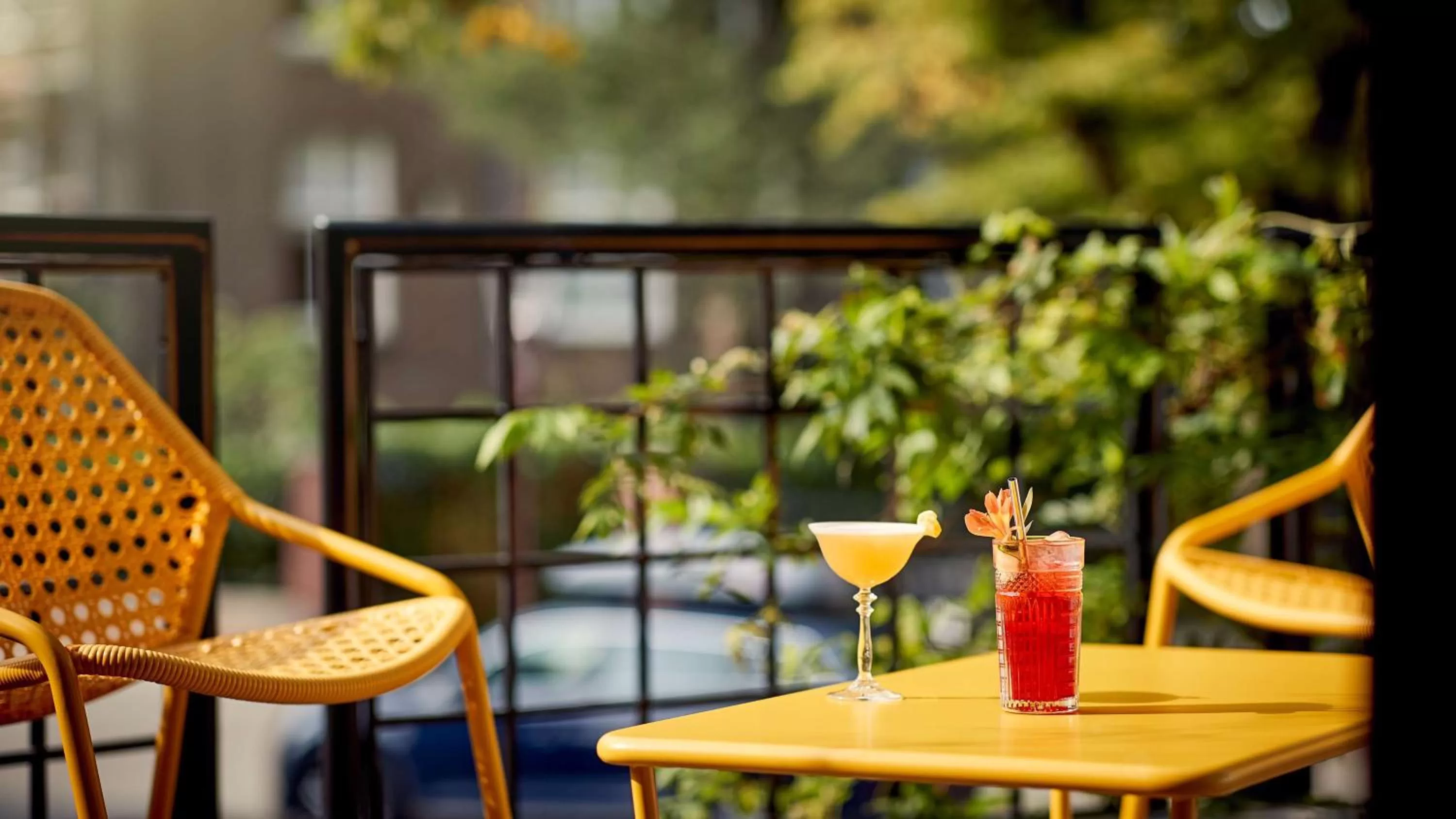 Patio in Park Plaza Vondelpark Amsterdam