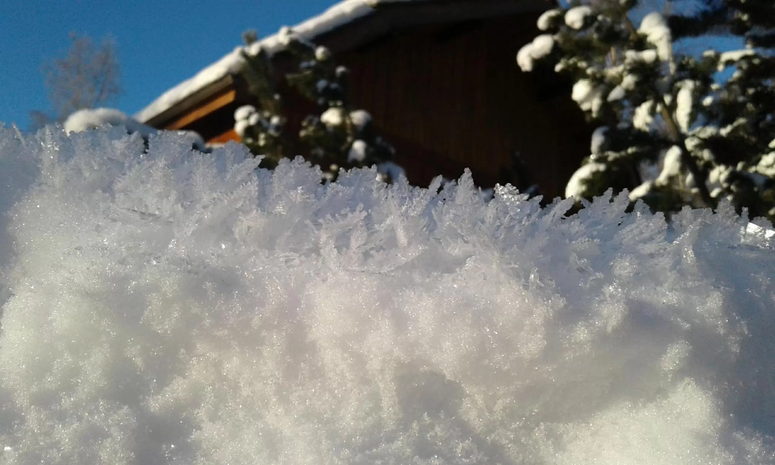 Winter in Alaska Chalet Bed & Breakfast