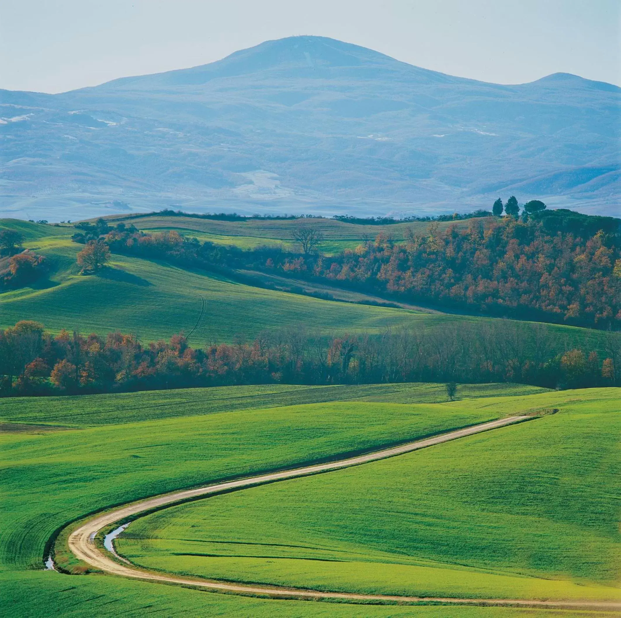 View (from property/room) in Albergo Le Terme