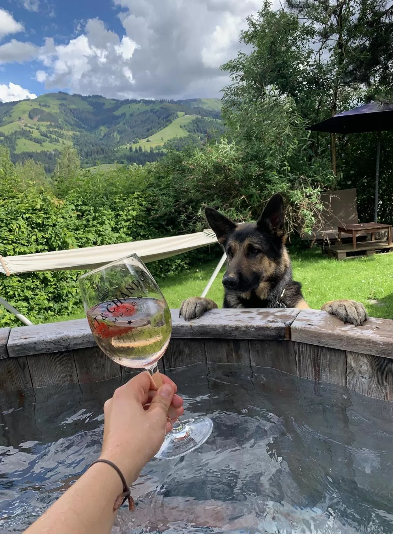 Pets in Hotel Garni Wieshof