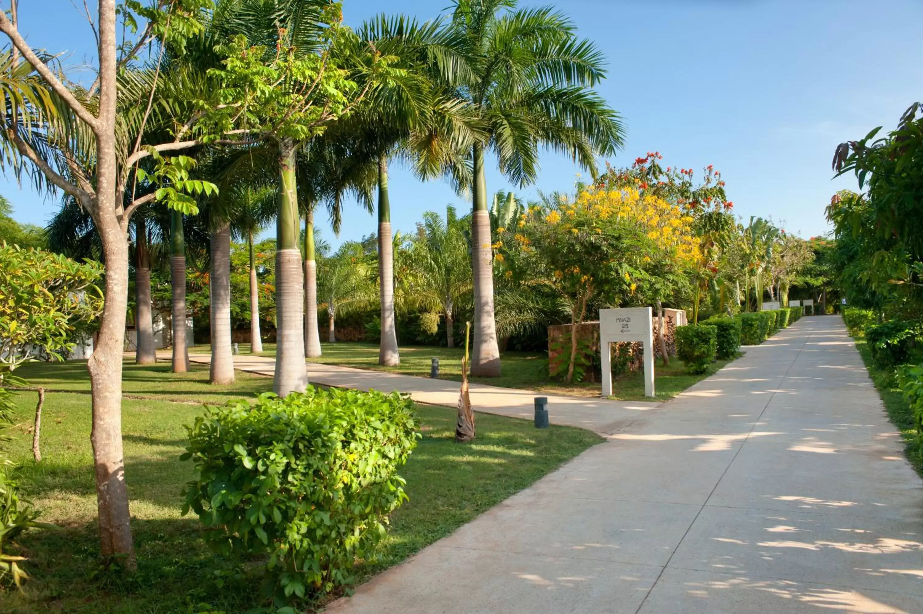 Garden in Melia Zanzibar