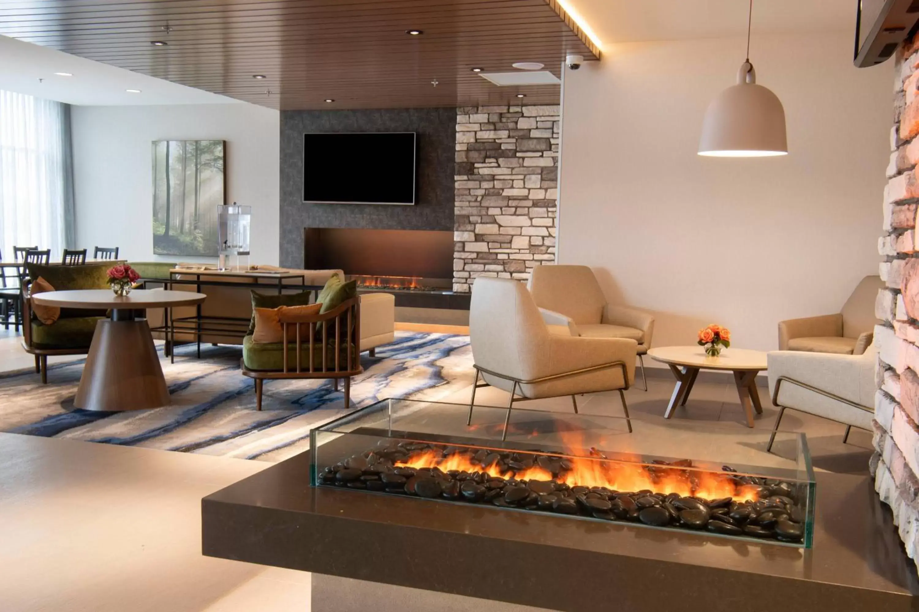 Lobby or reception, Seating Area in Fairfield by Marriott Edmonton International Airport