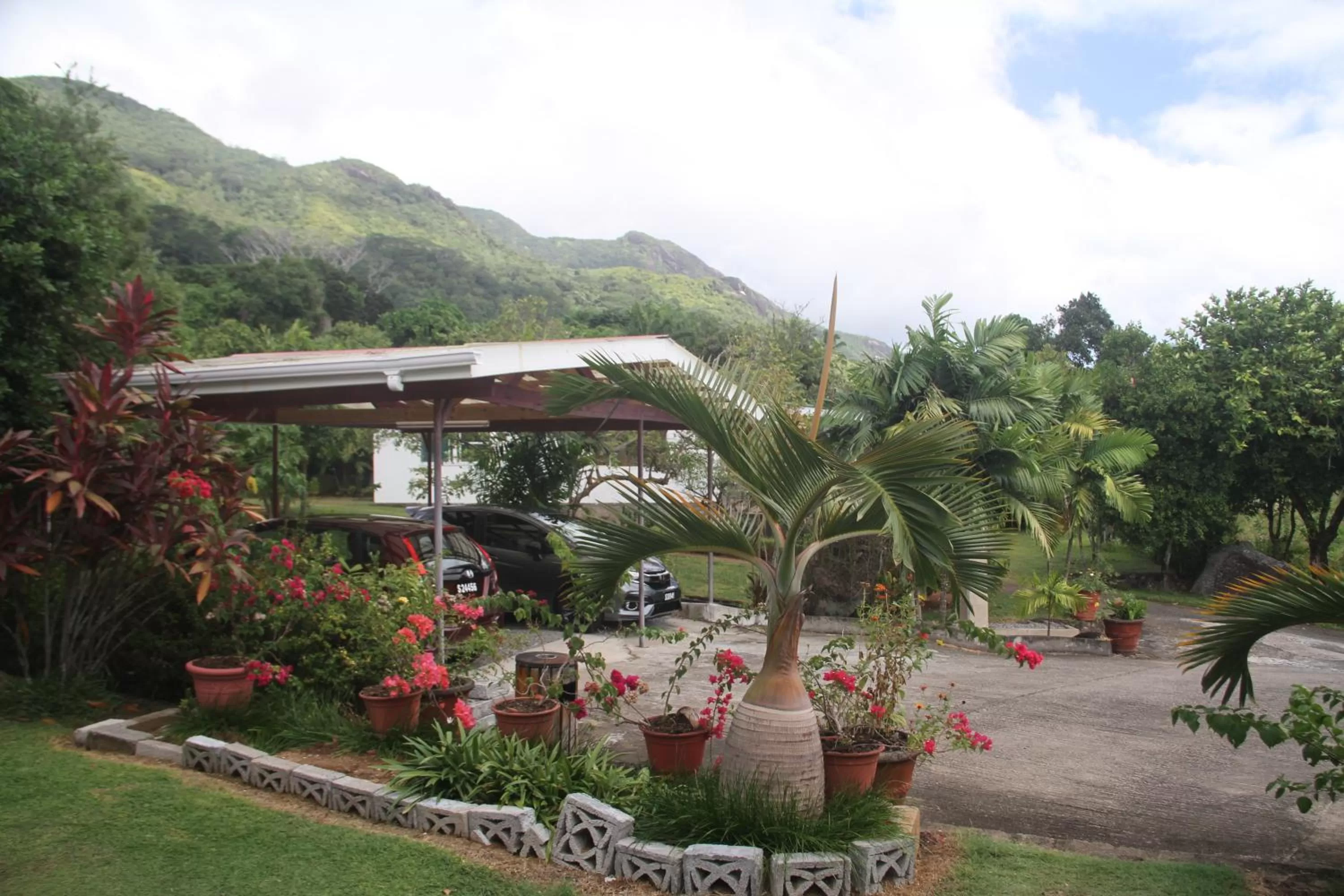 Other in Daniella's Bungalows