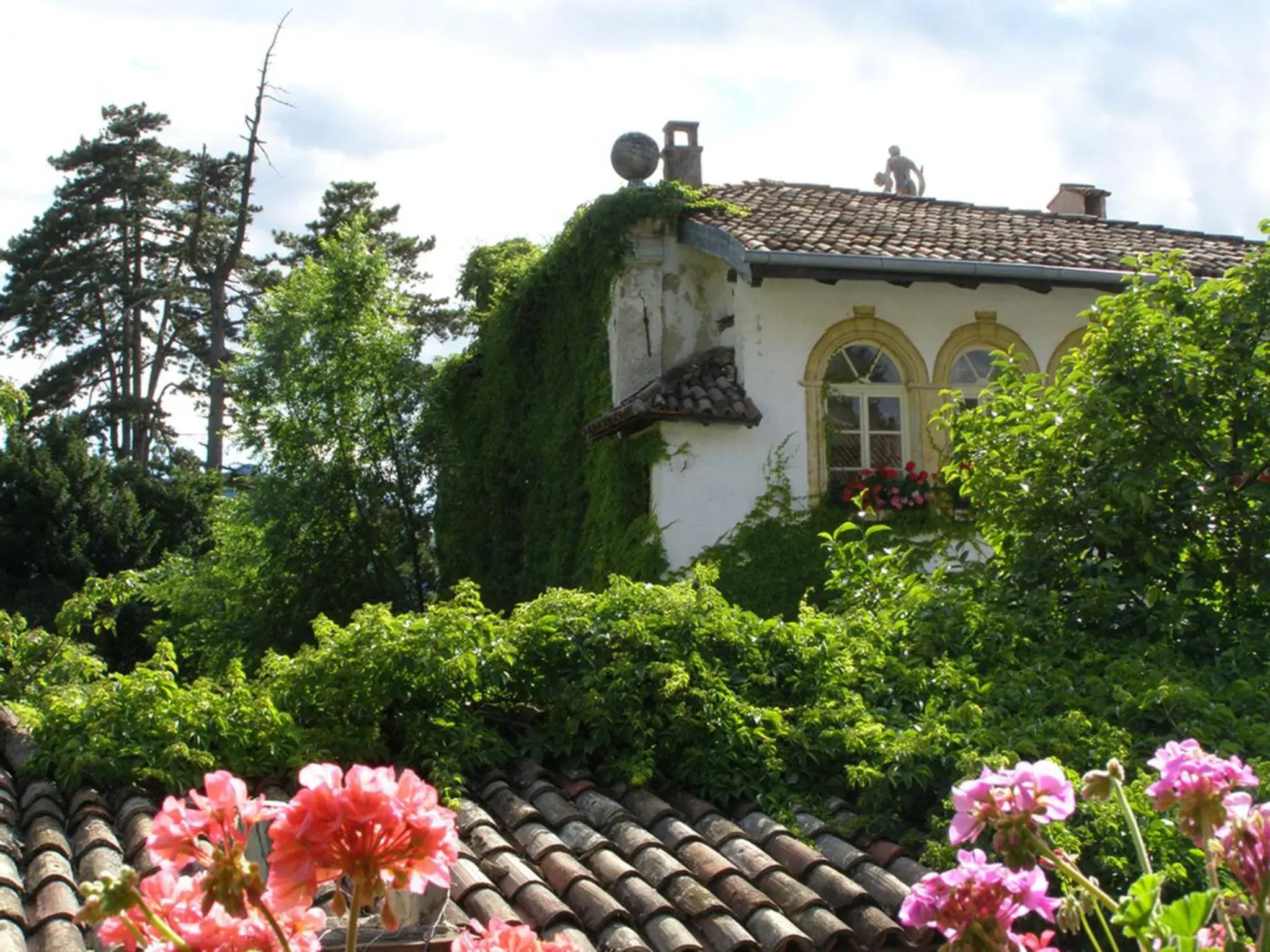 Garden, Property Building in Villa Bertagnolli - Locanda Del Bel Sorriso
