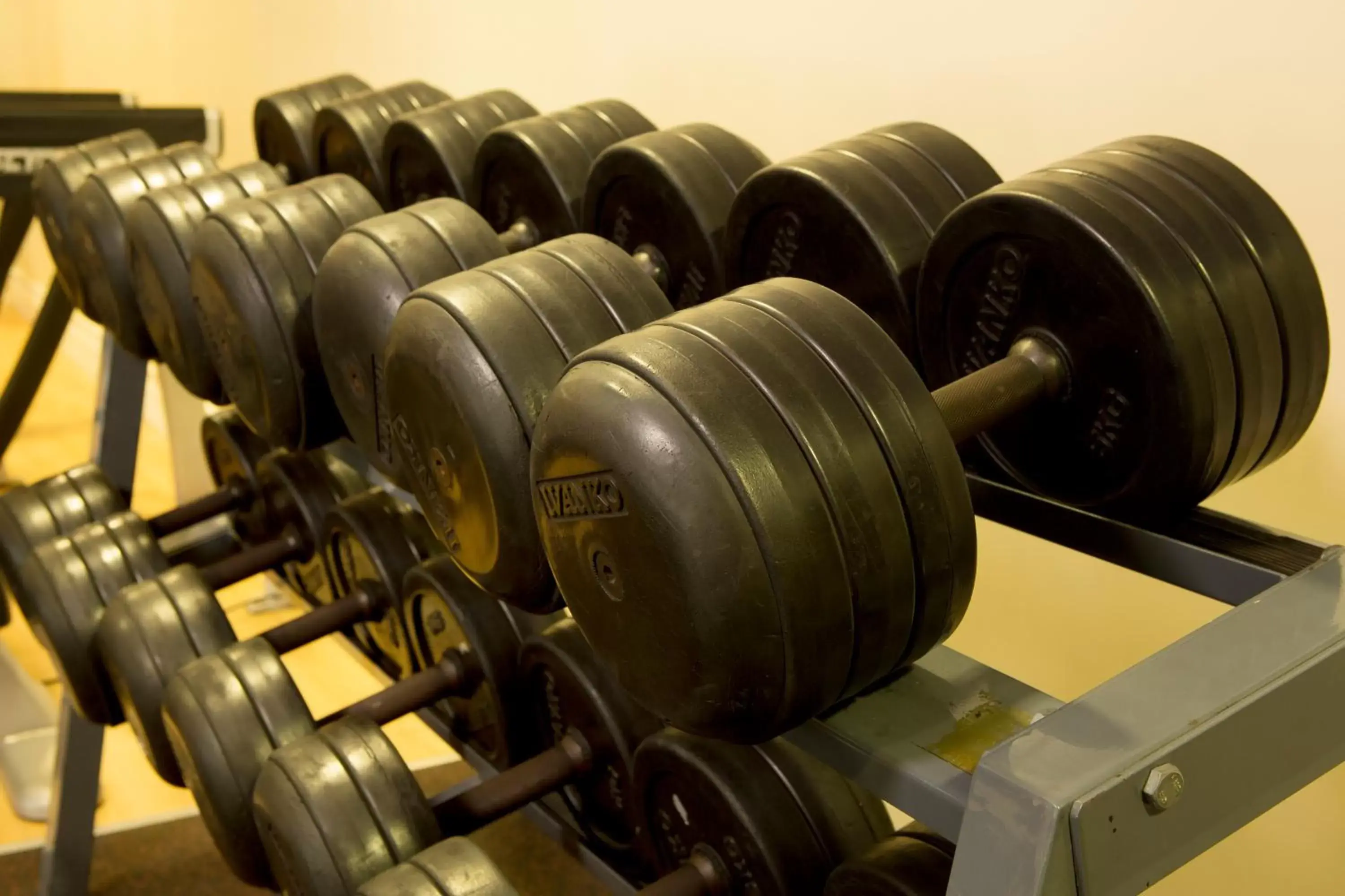 Fitness centre/facilities, Fitness Center/Facilities in McWilliam Park Hotel