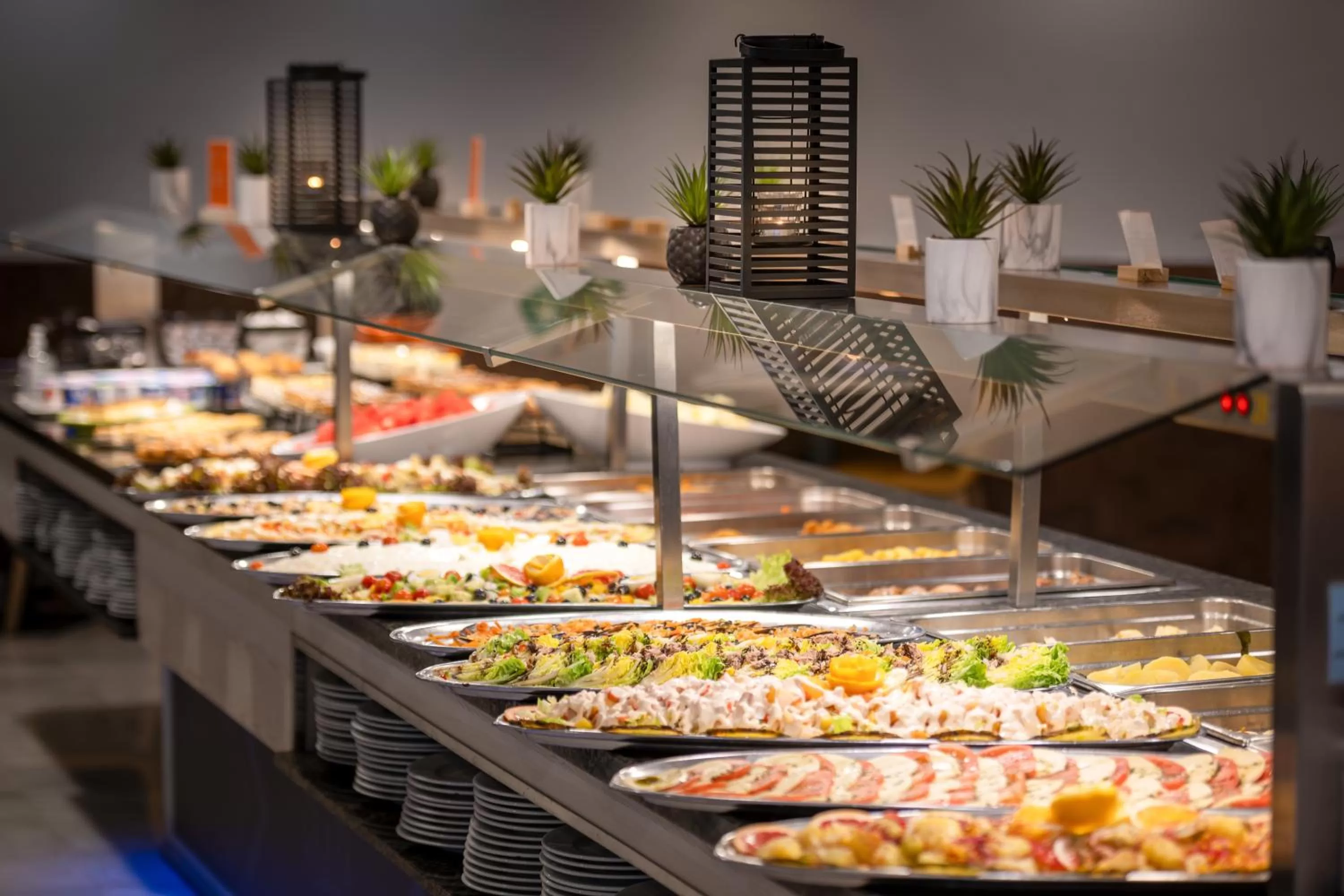 Climia Benidorm Plaza