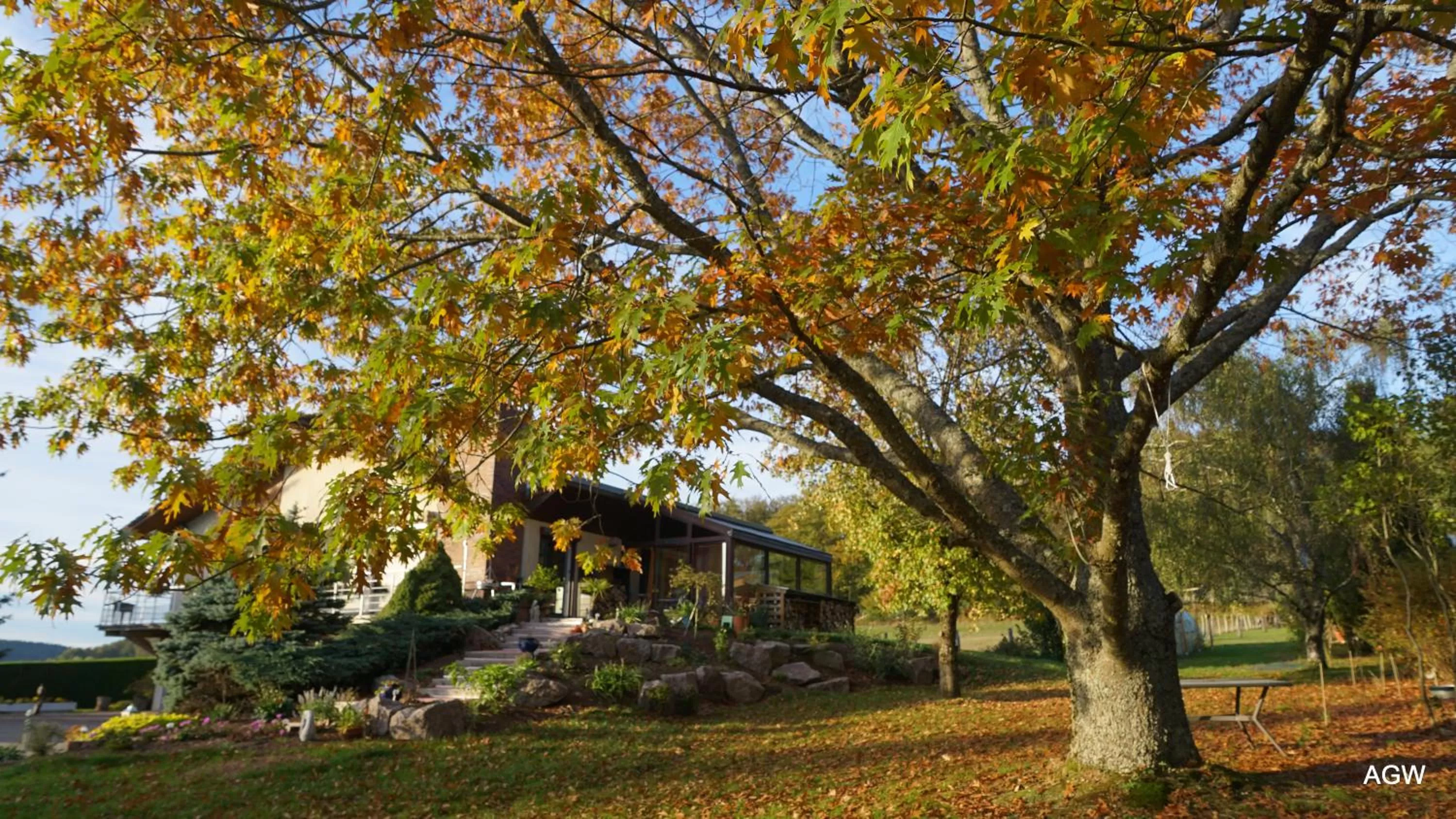 Garden in Chambres d'Hôtes de l'Avison