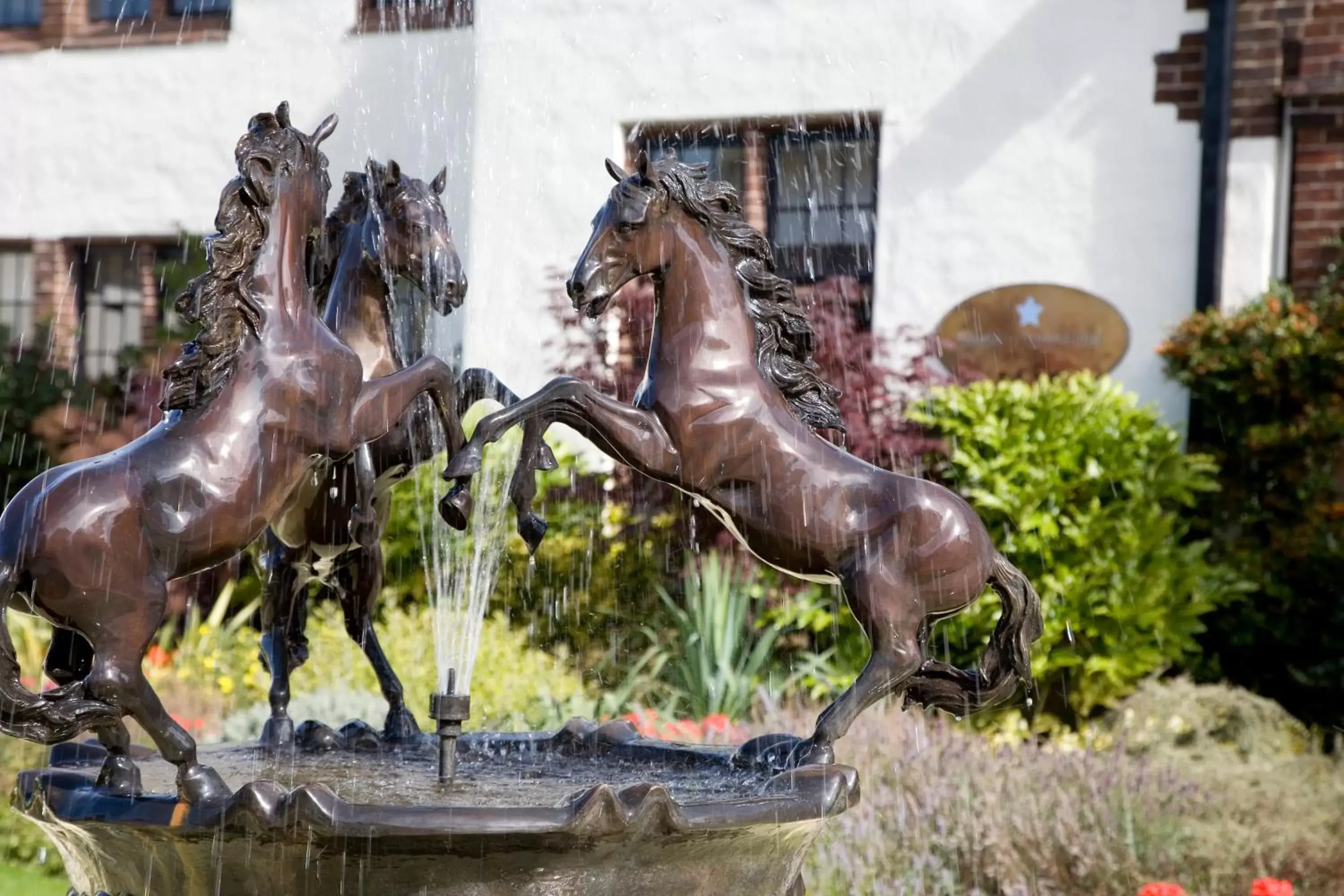 Facade/entrance, Other Animals in Western House Hotel