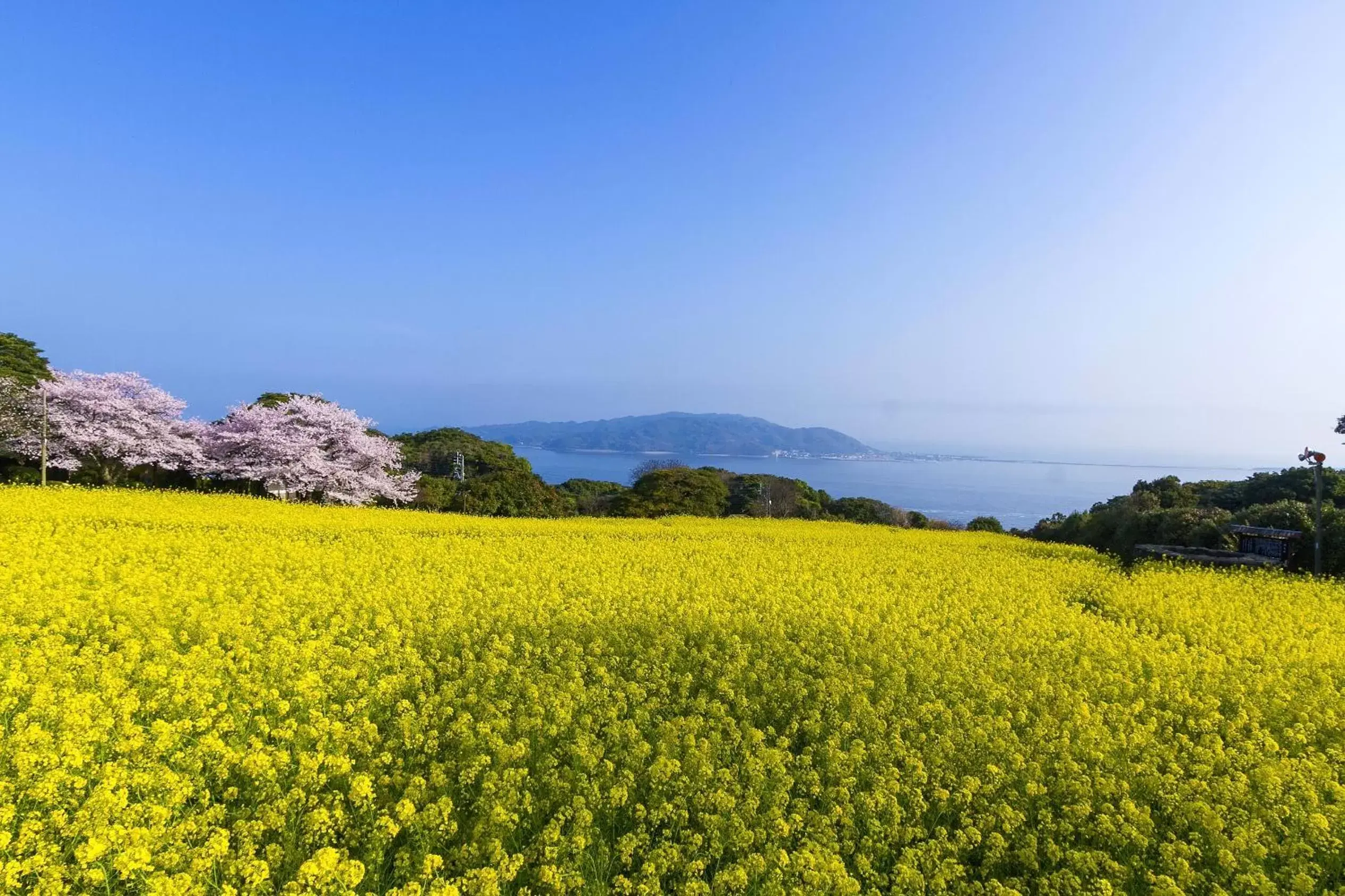 Location, Natural Landscape in Hotel Eclair Hakata