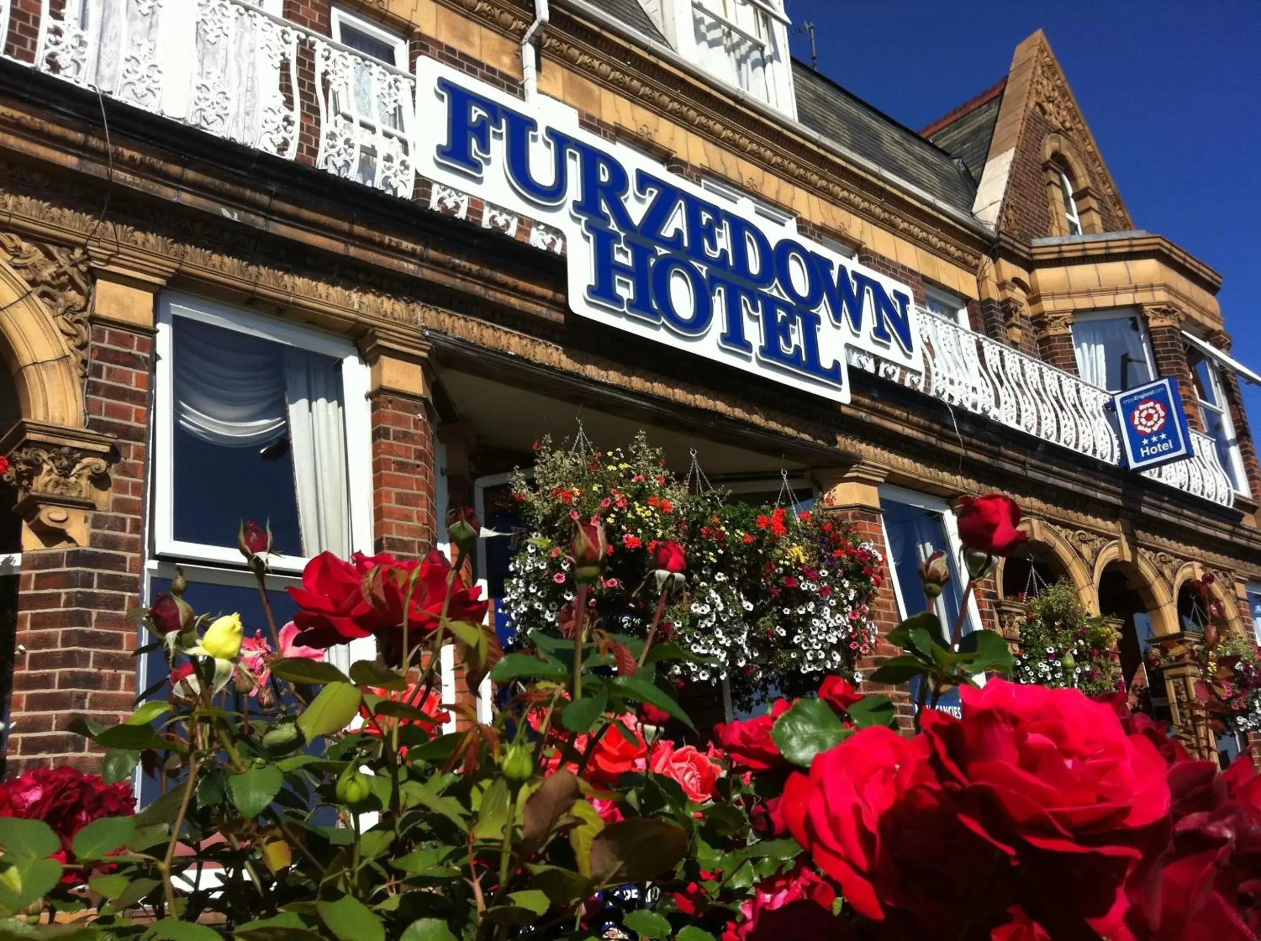 Day, Property Building in Furzedown Hotel