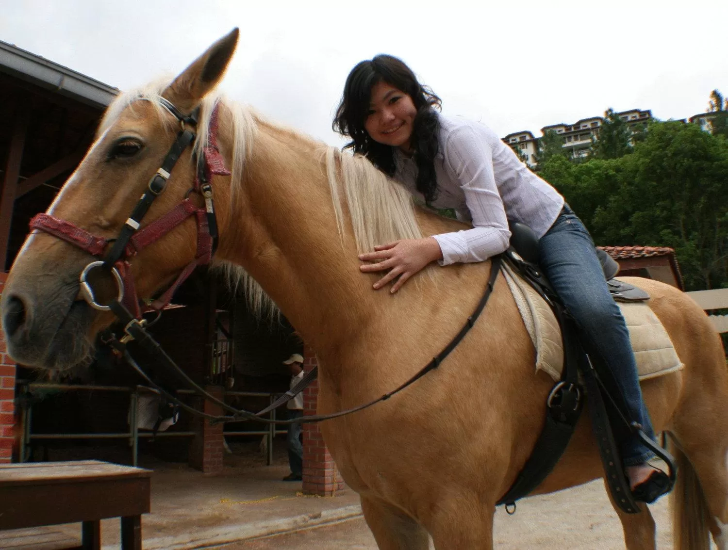 Activities in The Chateau Spa & Wellness Resort