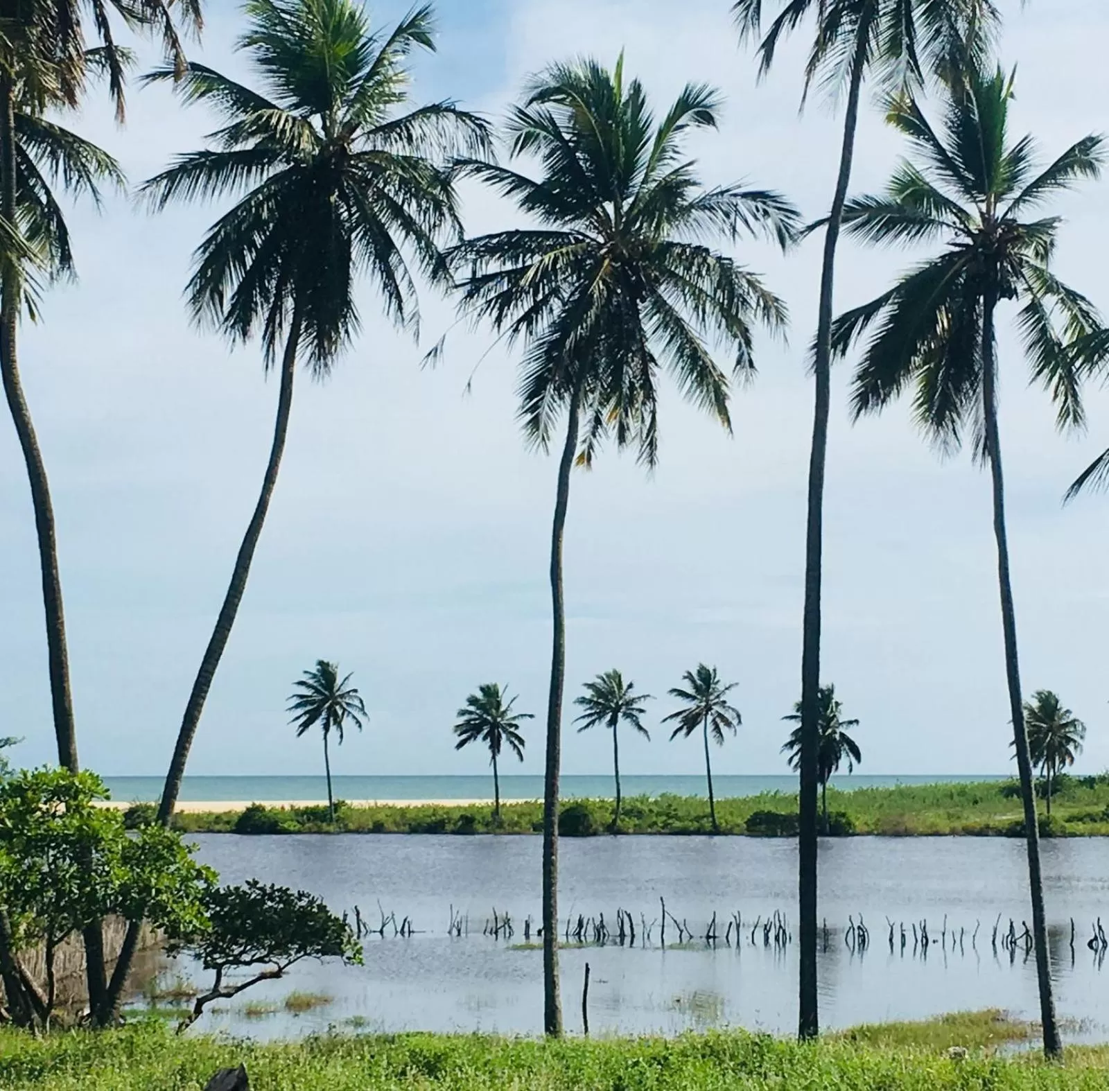 Natural landscape in Pousada Ello