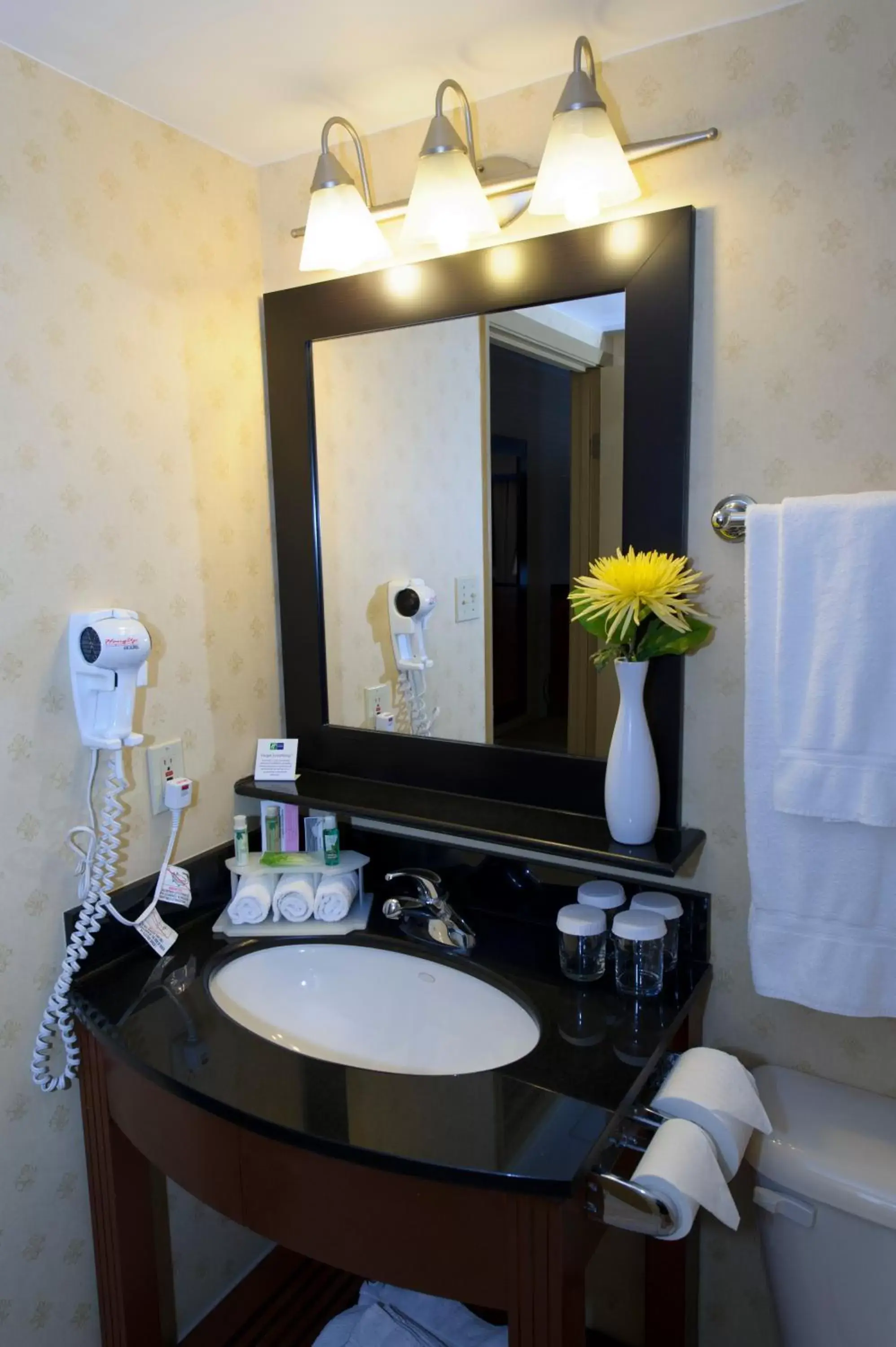 Bathroom in Allure Hotel & Suites - London Downtown