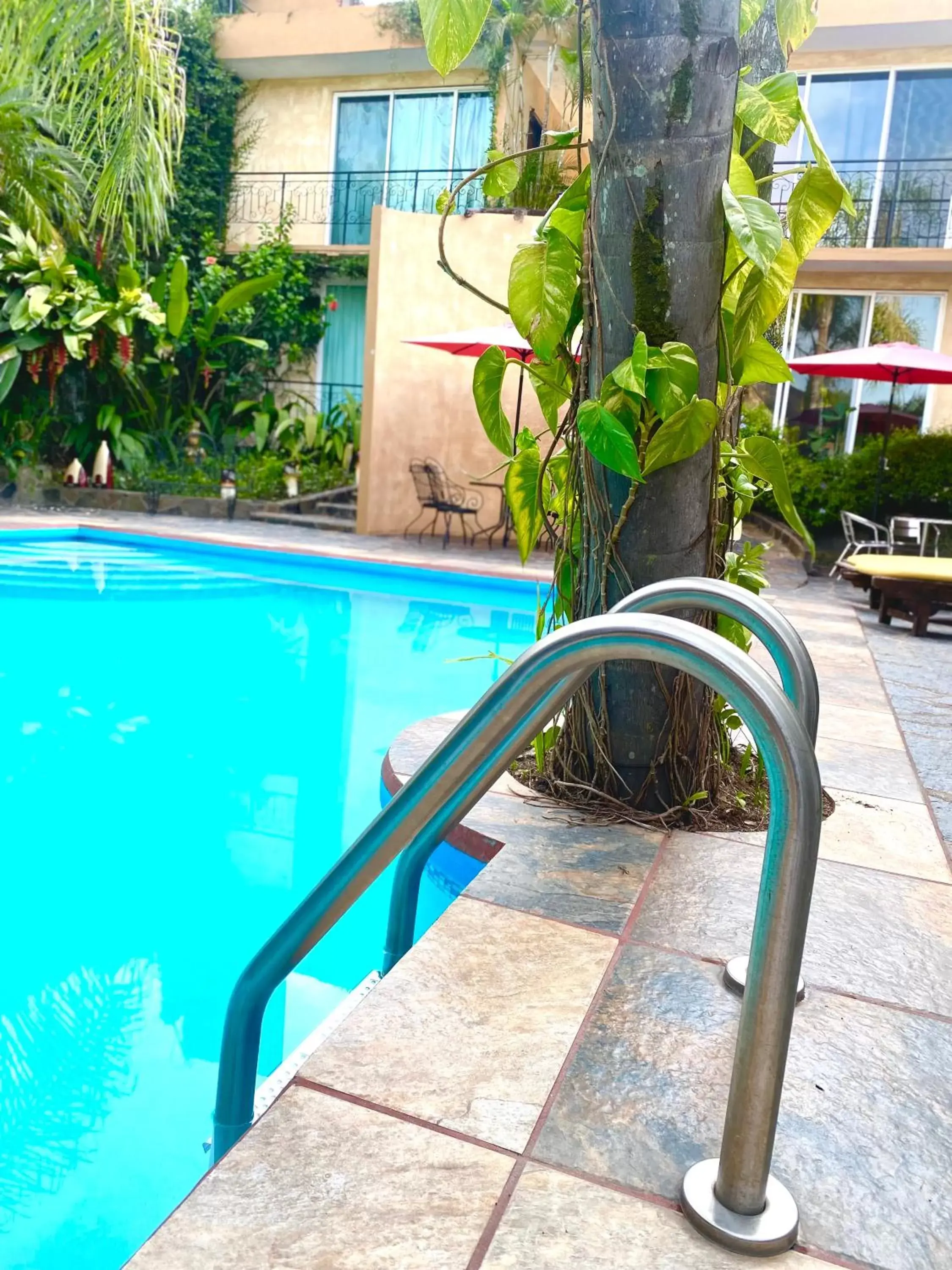 Swimming Pool in Hotel Camino Surreal Xilitla