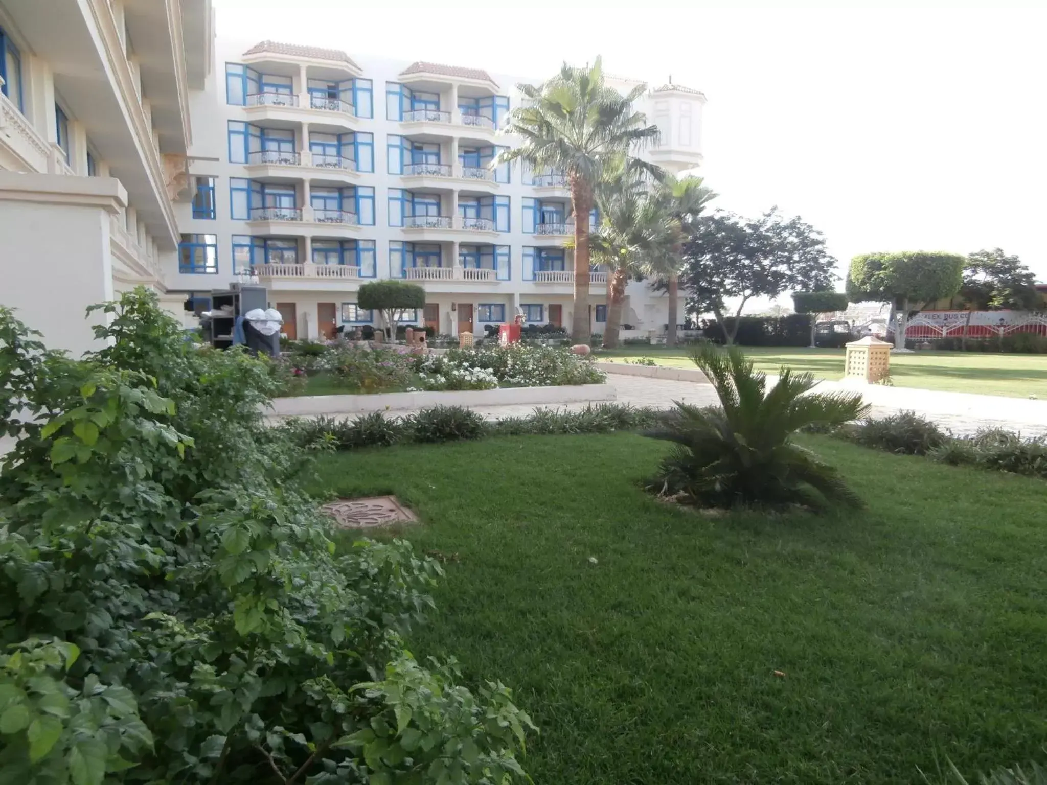 Garden, Property Building in Marina Sharm Hotel