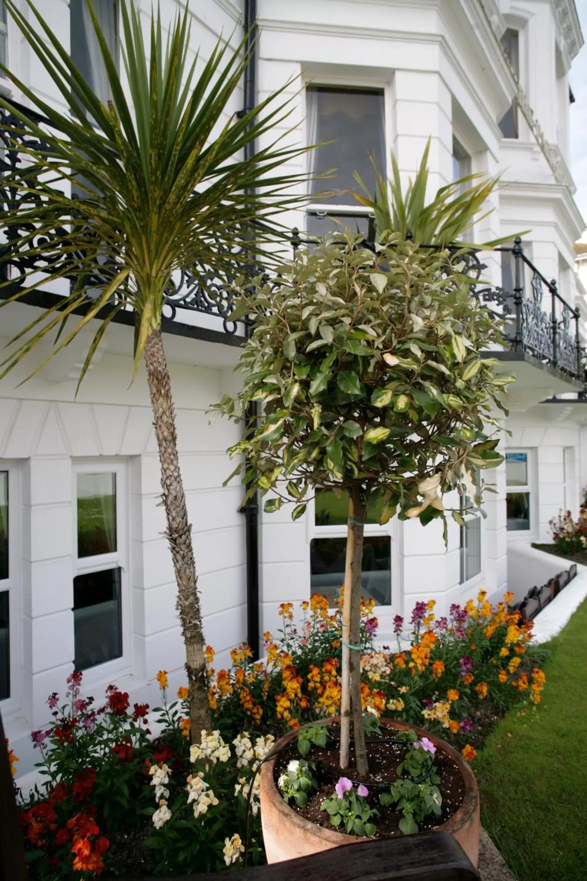 Garden, Property Building in Devonshire Park Hotel