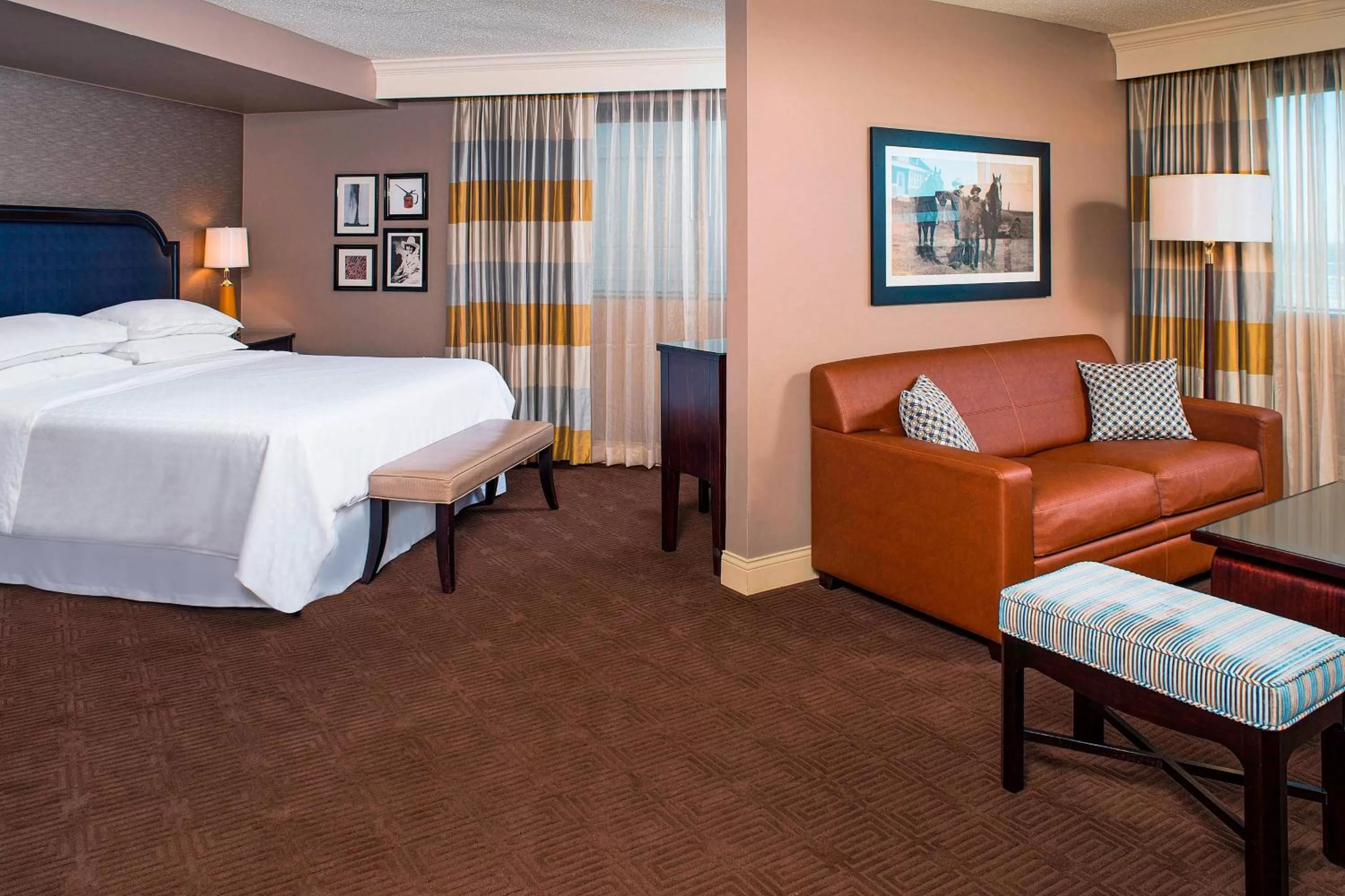Photo of the whole room, Bed in Sheraton North Houston at George Bush Intercontinental
