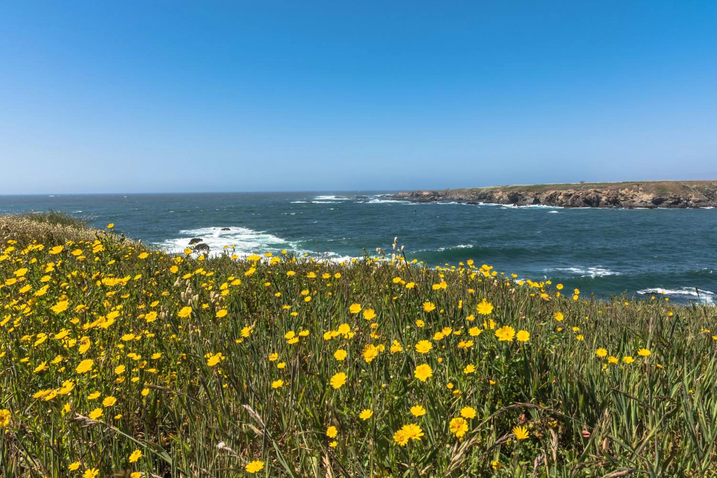 Sea view in Omeo Suites Glass Beach