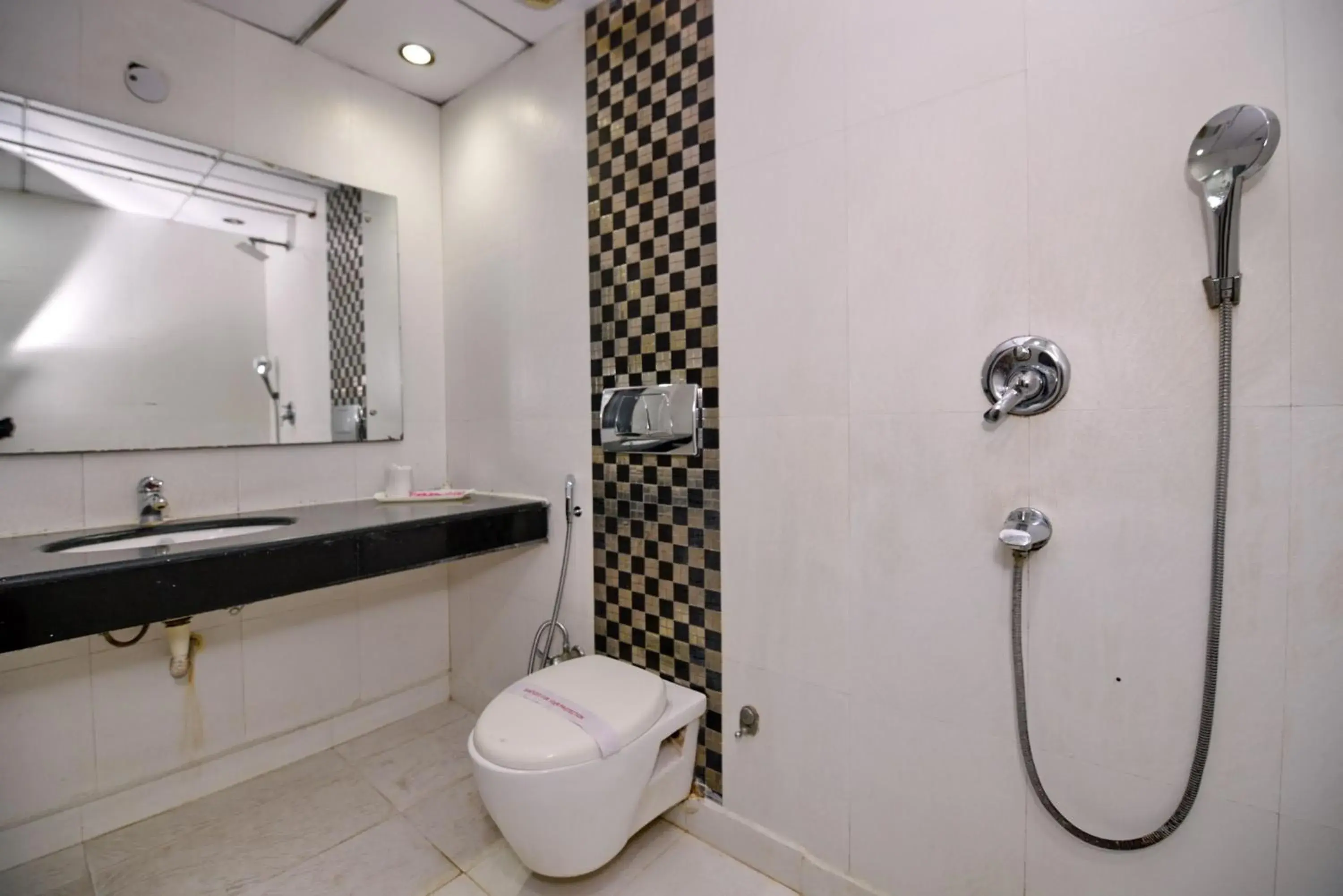 Toilet, Bathroom in Hotel Silver Stone