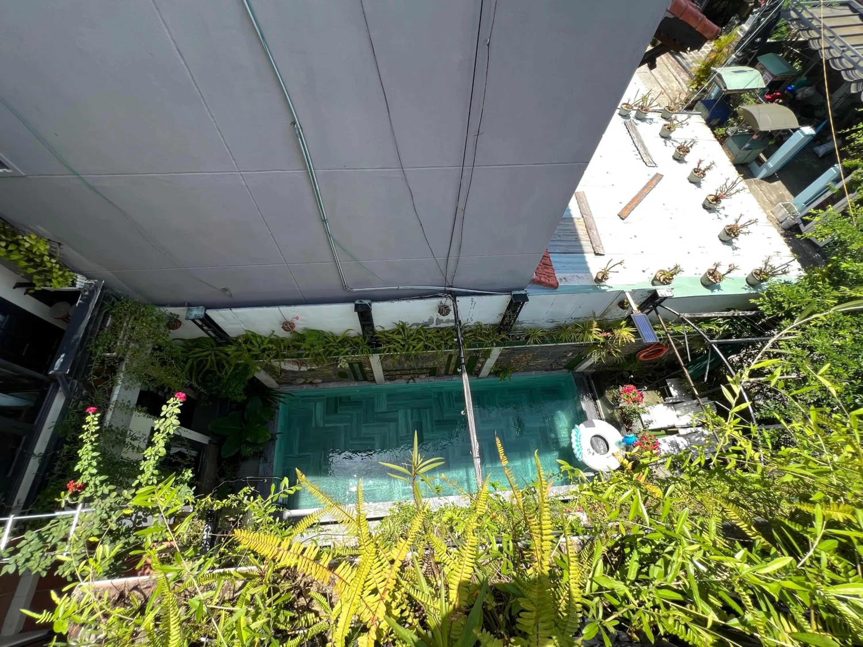 Day in Hoi An Ngo Homestay