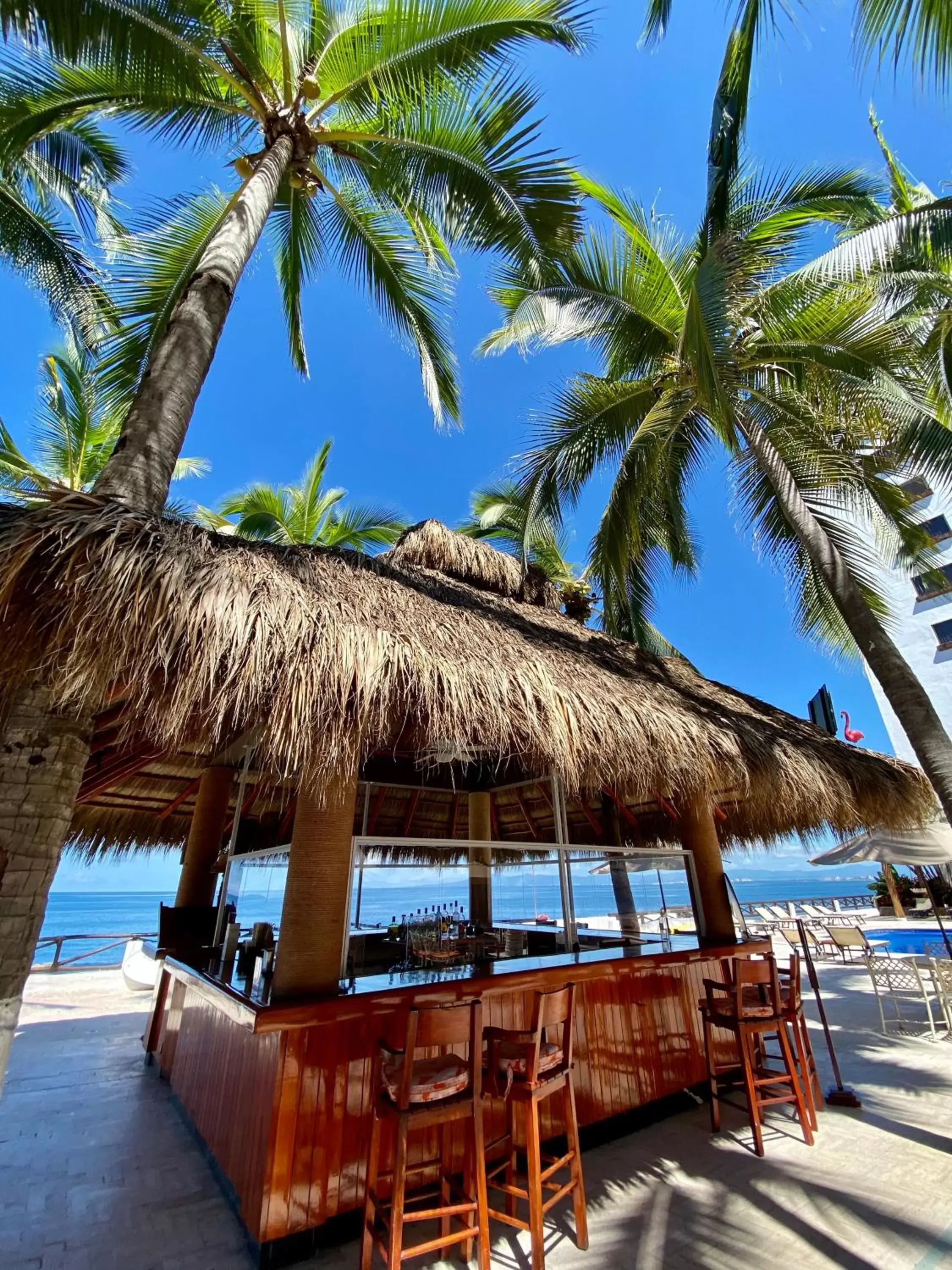 Lounge or bar, Beach in Costa Sur Resort & Spa