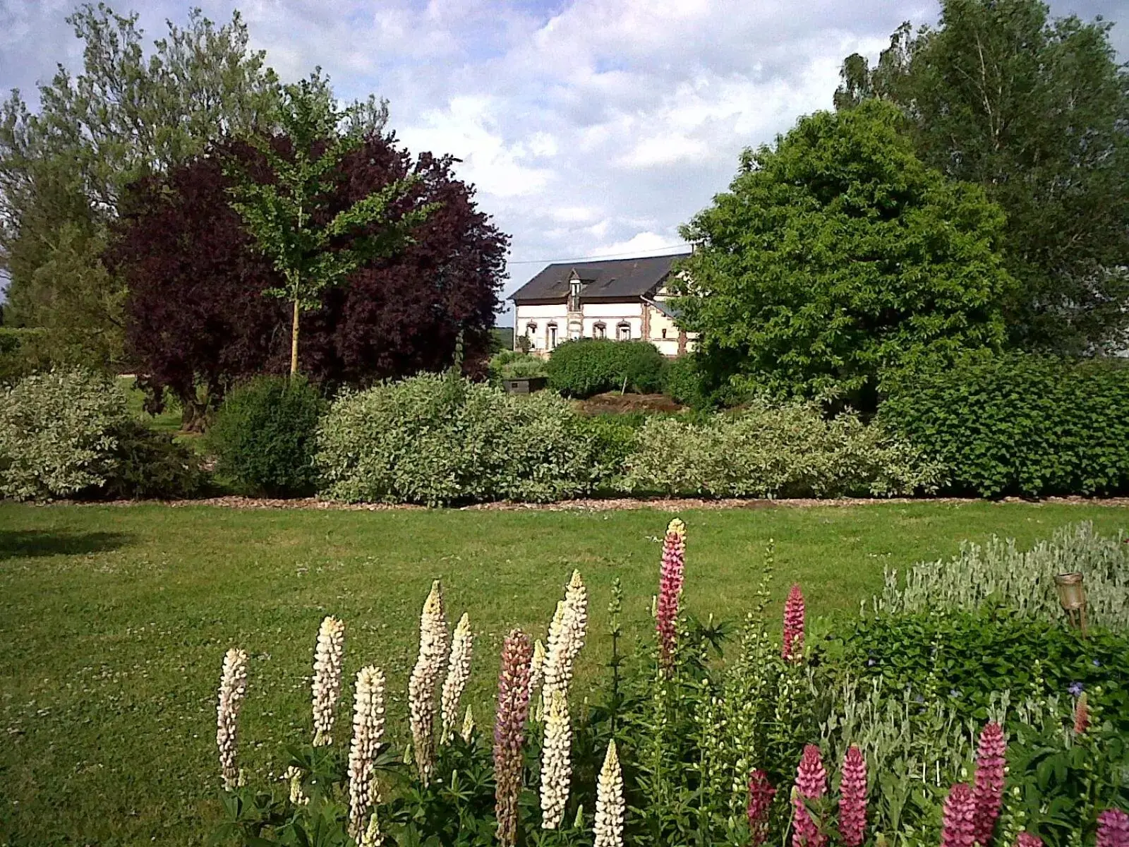 Garden, Property Building in Le Cardonnet