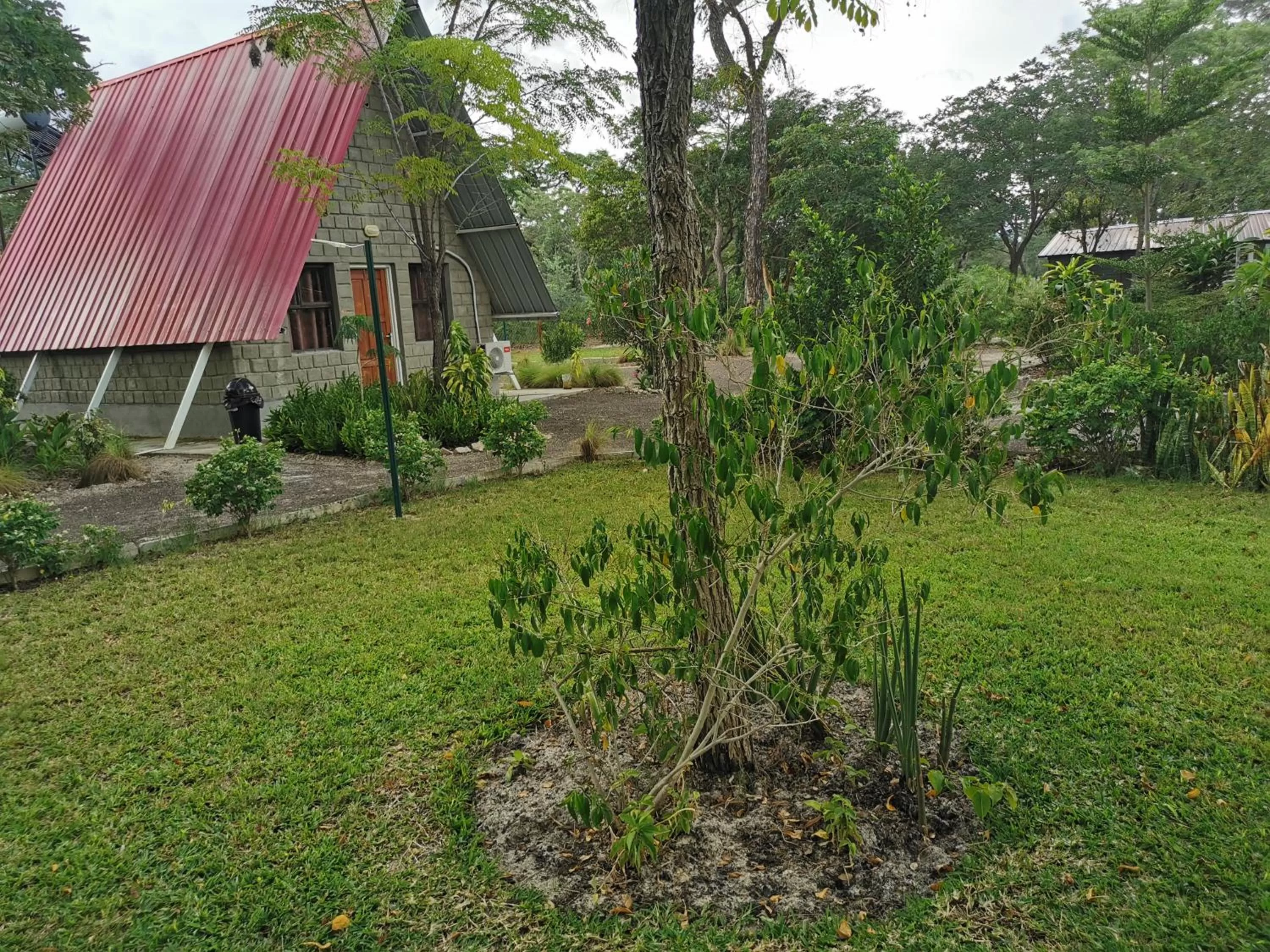 Property Building in Happy Forest B&B