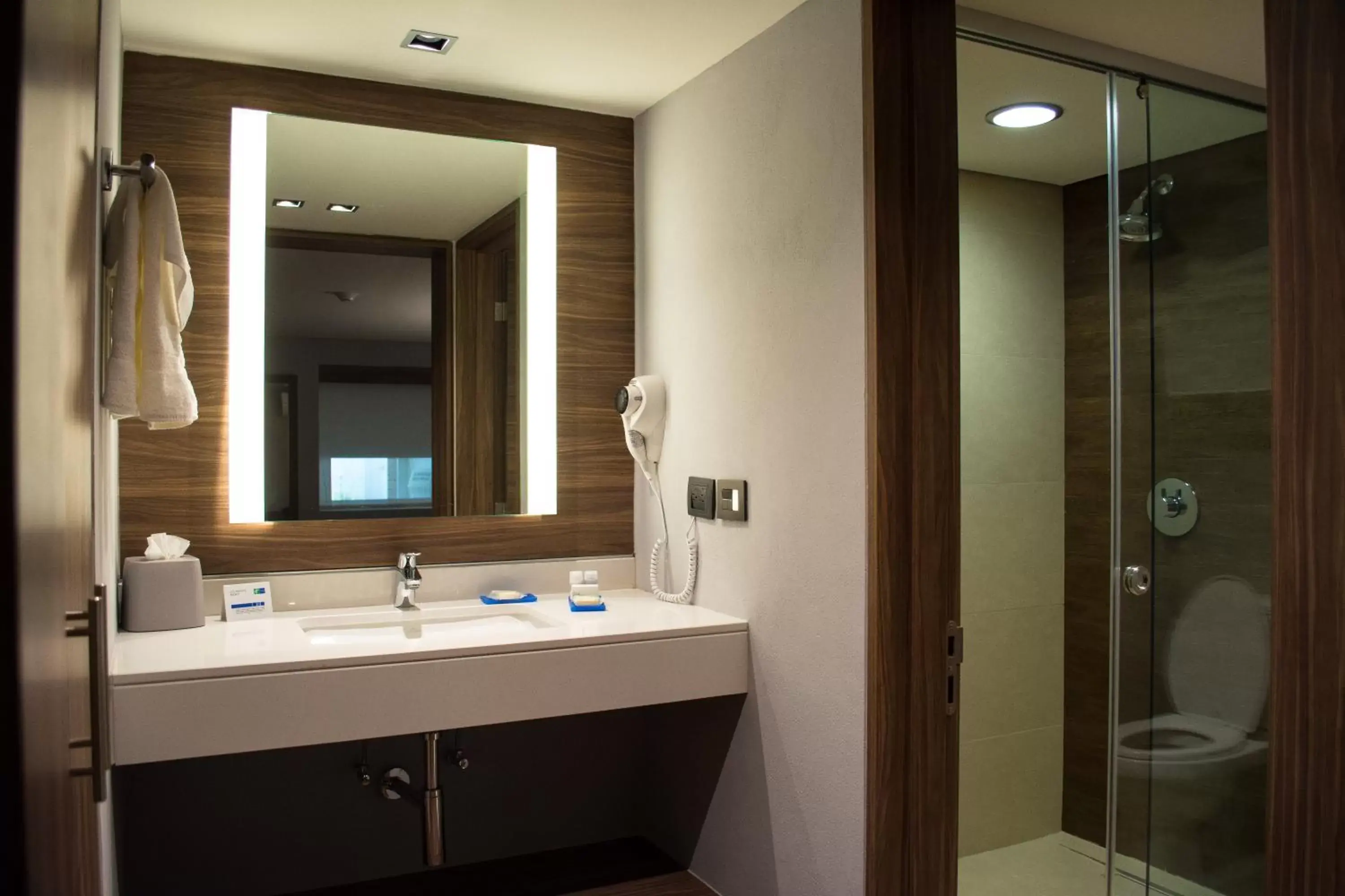Bathroom in Holiday Inn Express Morelia, an IHG Hotel
